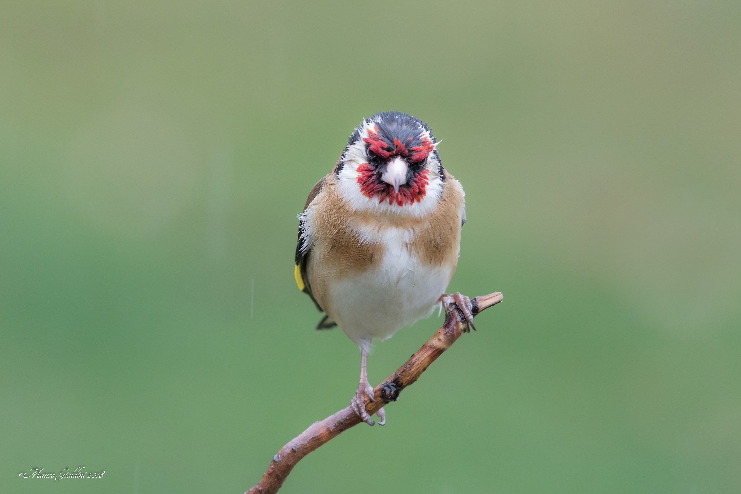 Angry because it rains