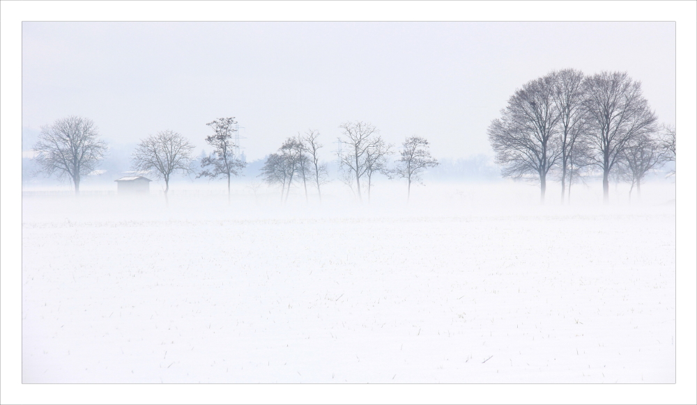 Winter Silence_02