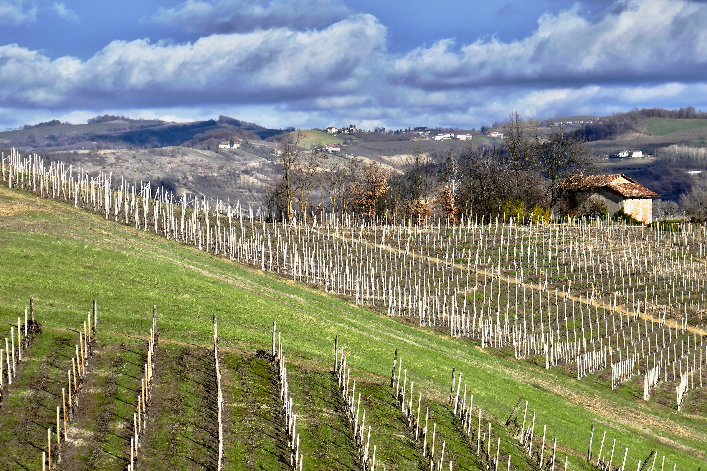 Accenni di primavera a Diano d'Alba
