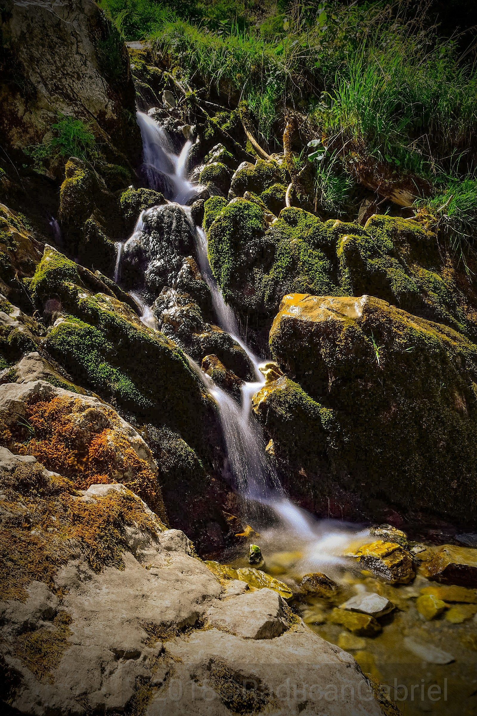 Horses waterfall ...