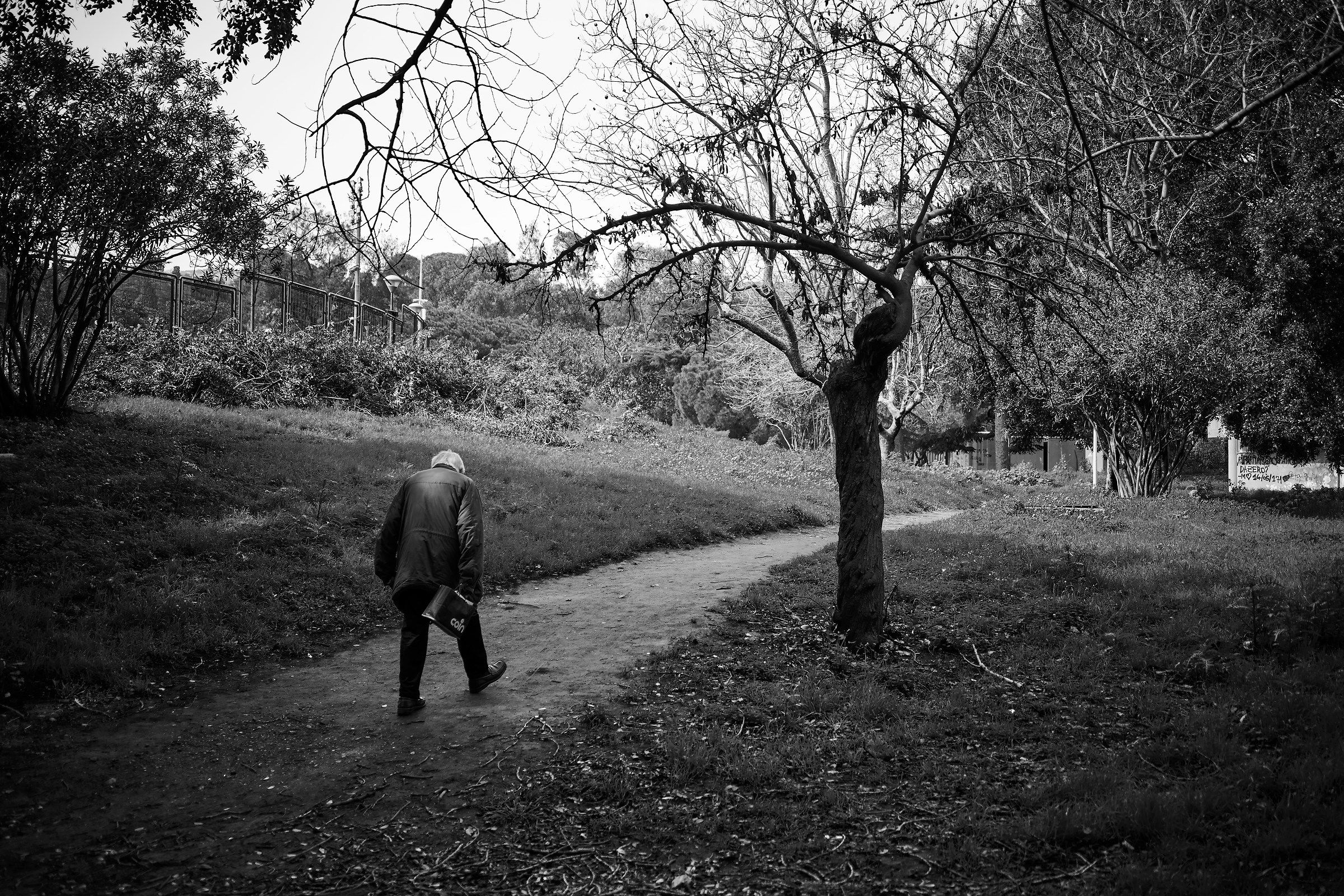 The avenue of sunset