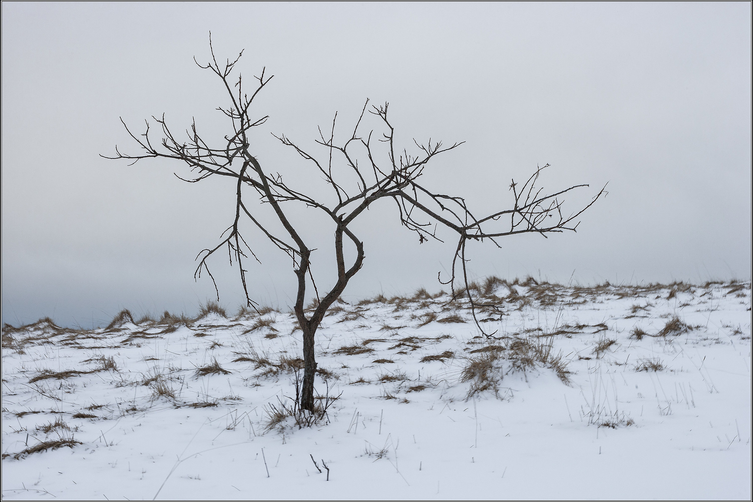 non è ancora primavera
