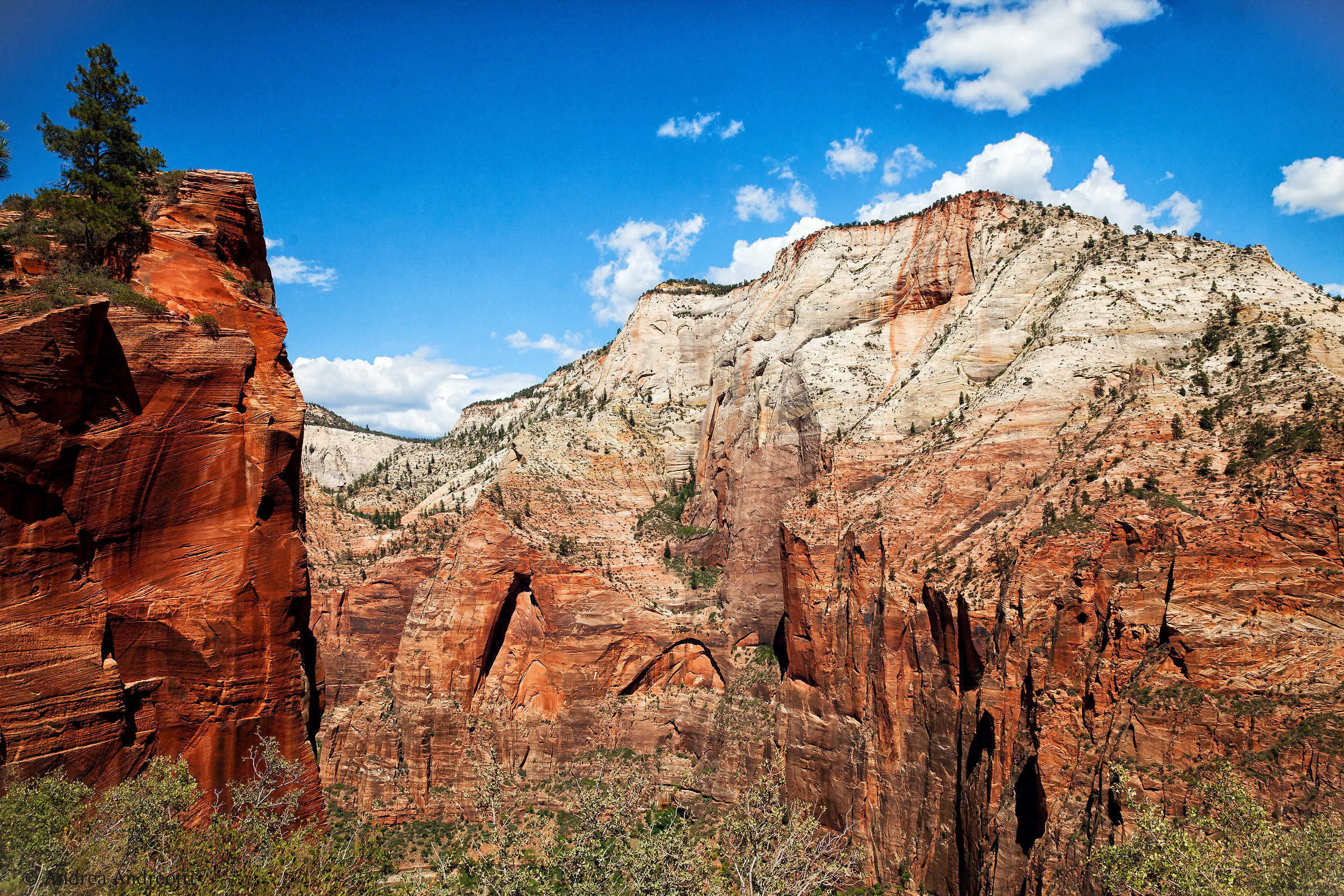 Colors and shades to Zion