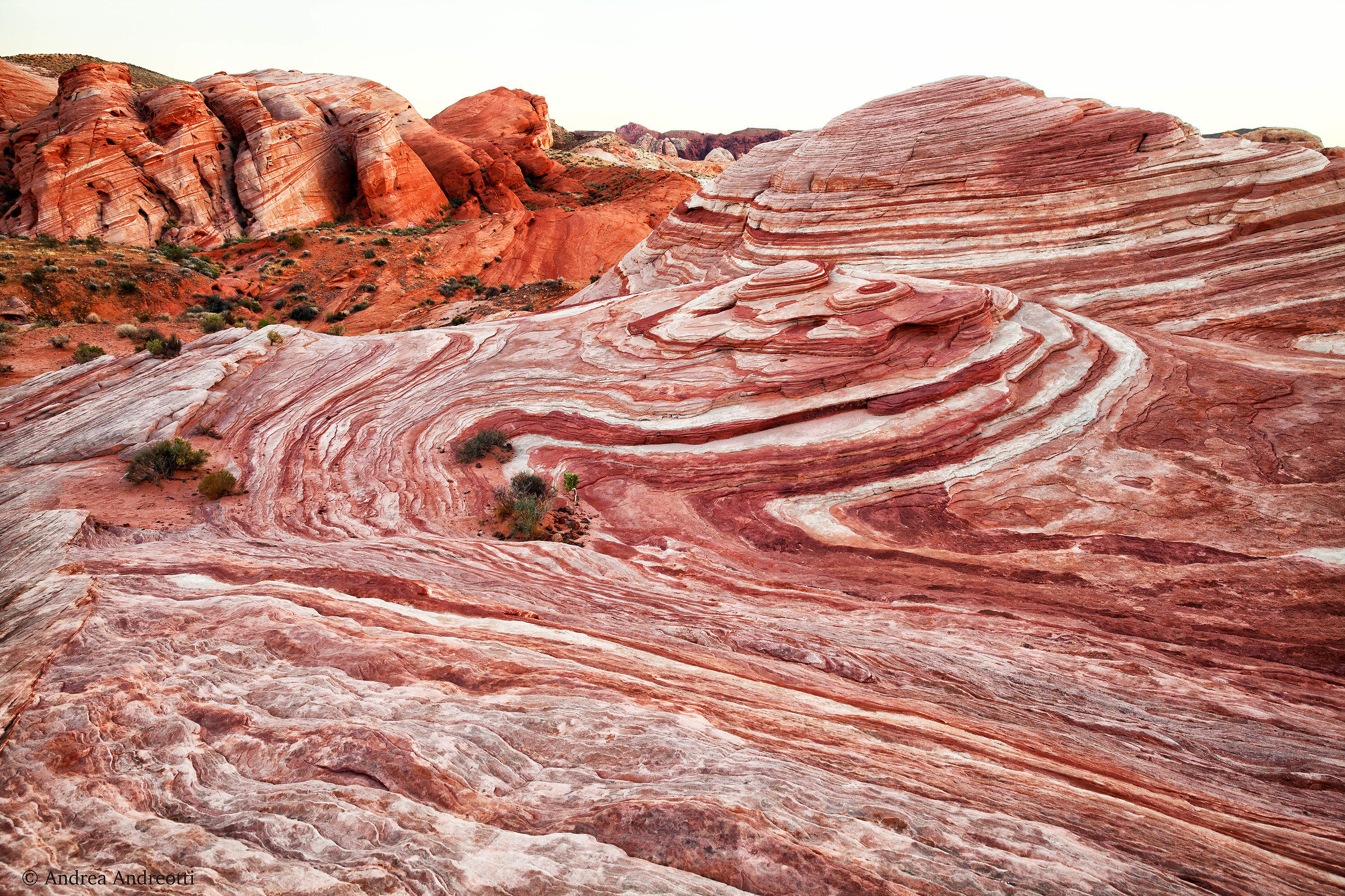 Palettes of colors in Valley of Fire