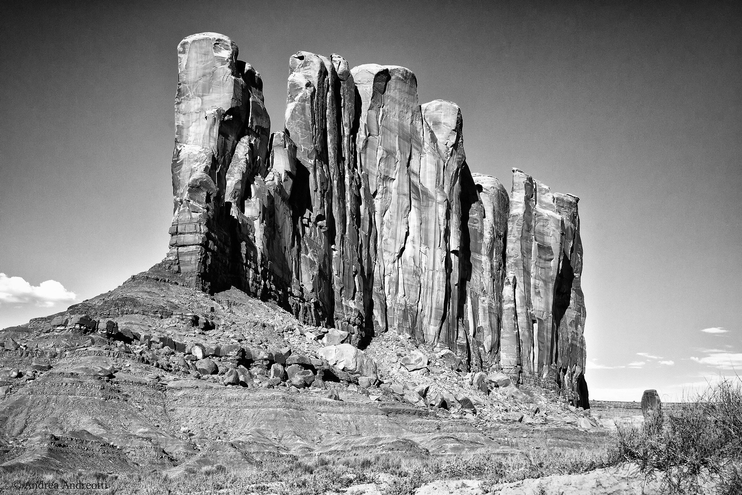 Majestic petrified sand shovels