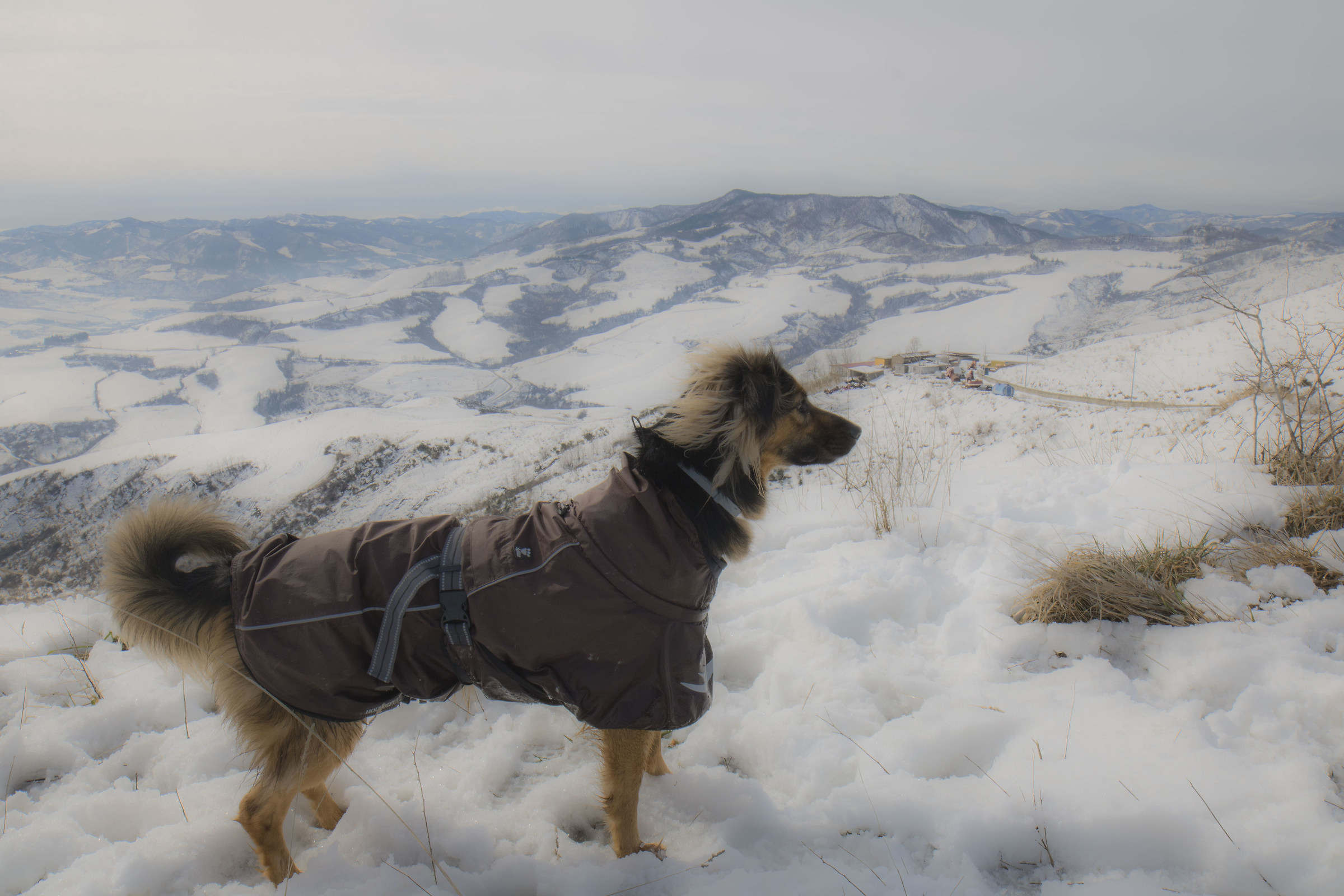 On the hills still snow!