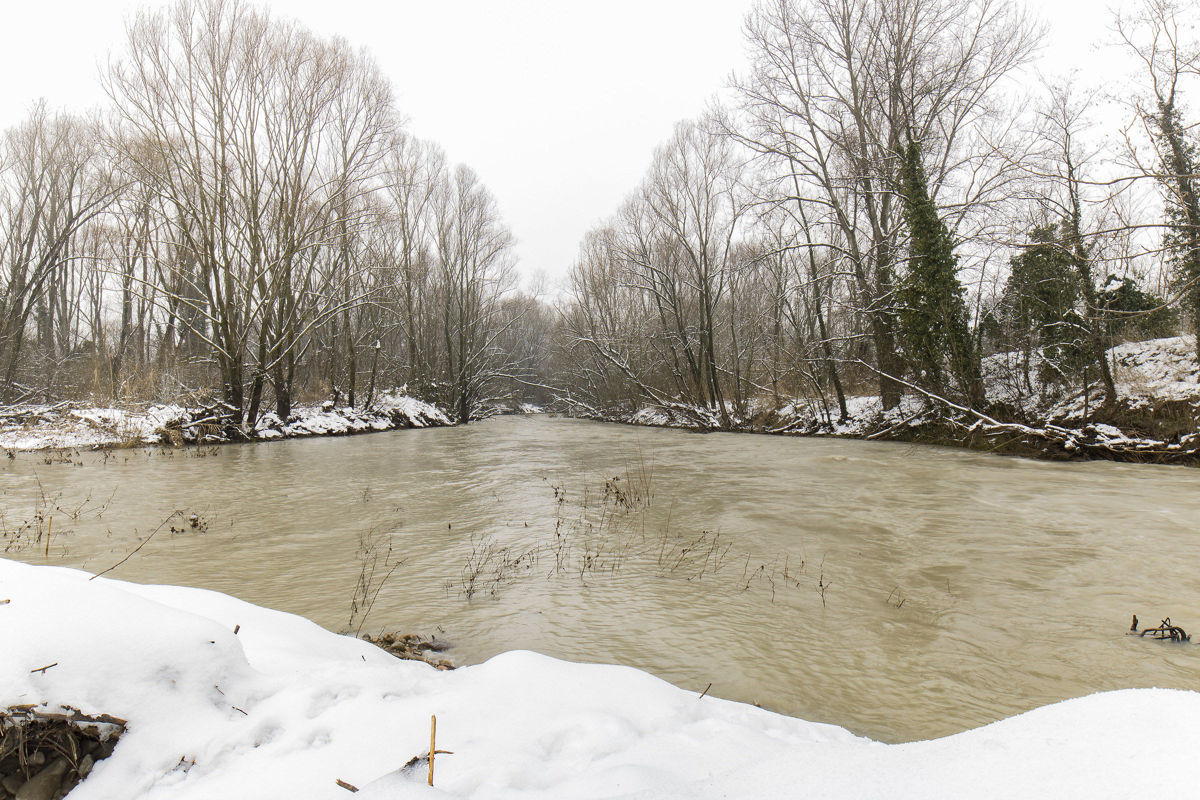 Torrenti di campagna innevati