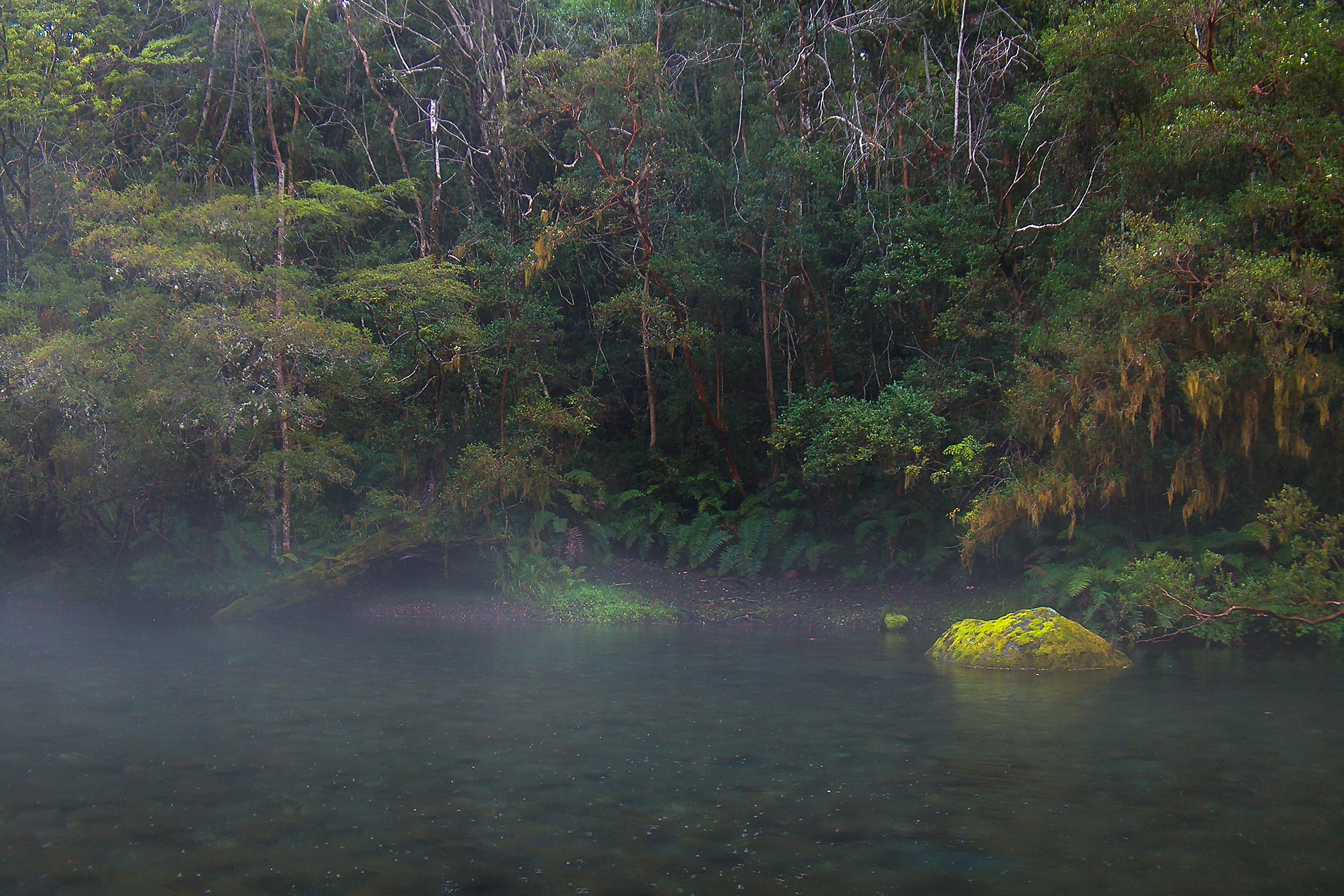 Alle falde del Vulcano Osorno