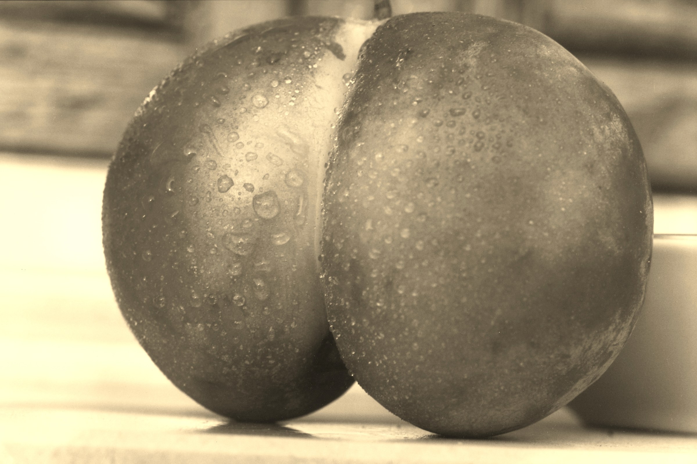 The mischievous plum!