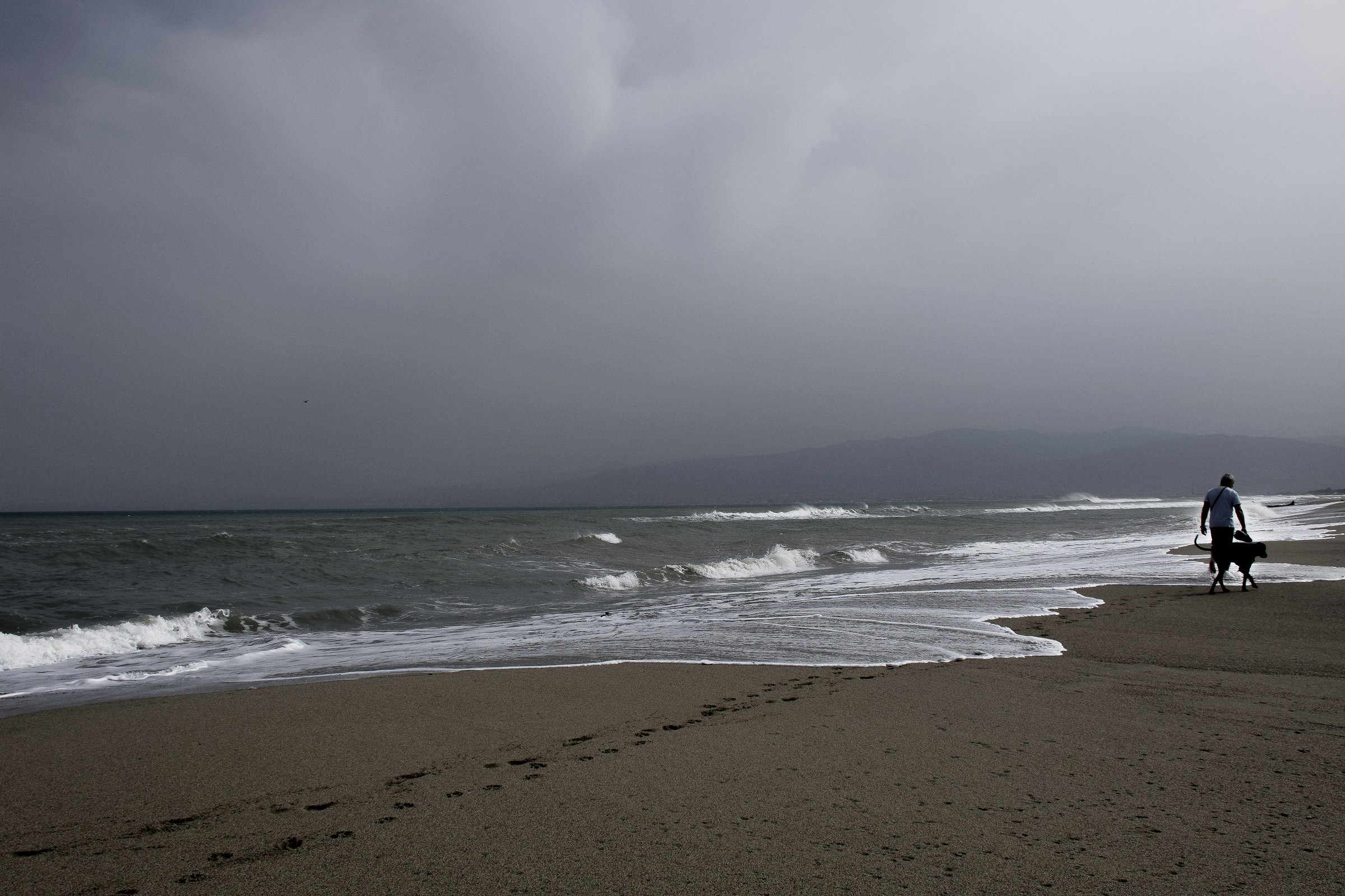 Insieme...verso casa