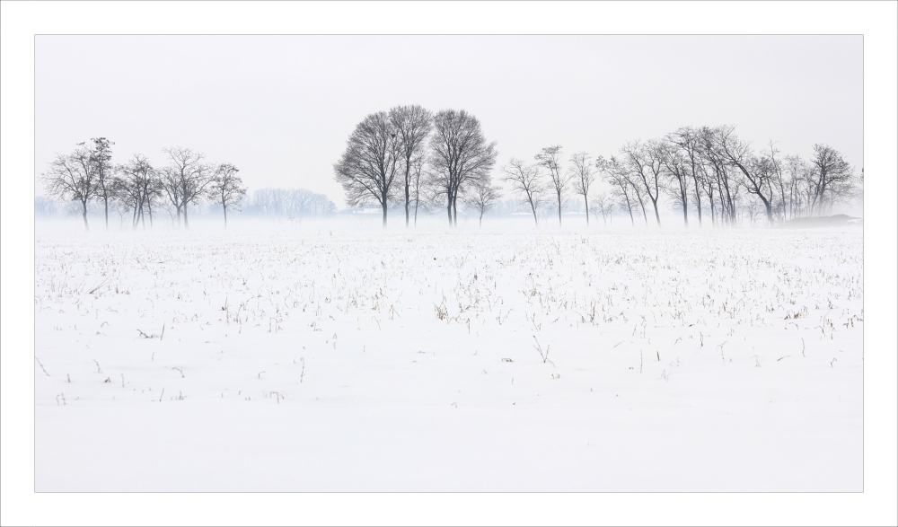 Winter silence_03