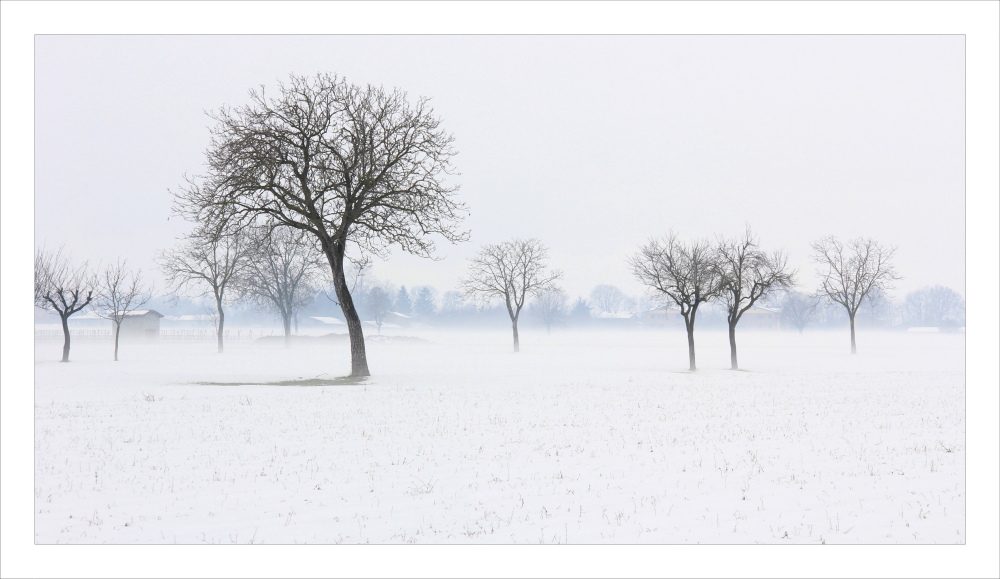Winter silence_04