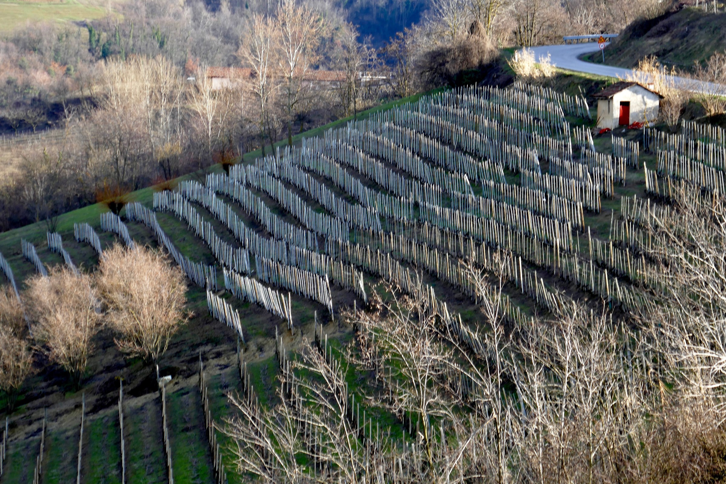 Ciabòt dalla porta rossa, Diano d'Alba