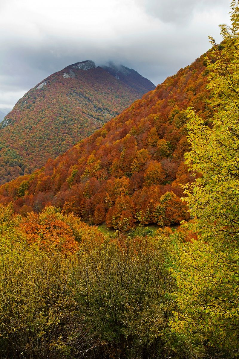 Parco nazionale d'Abruzzo