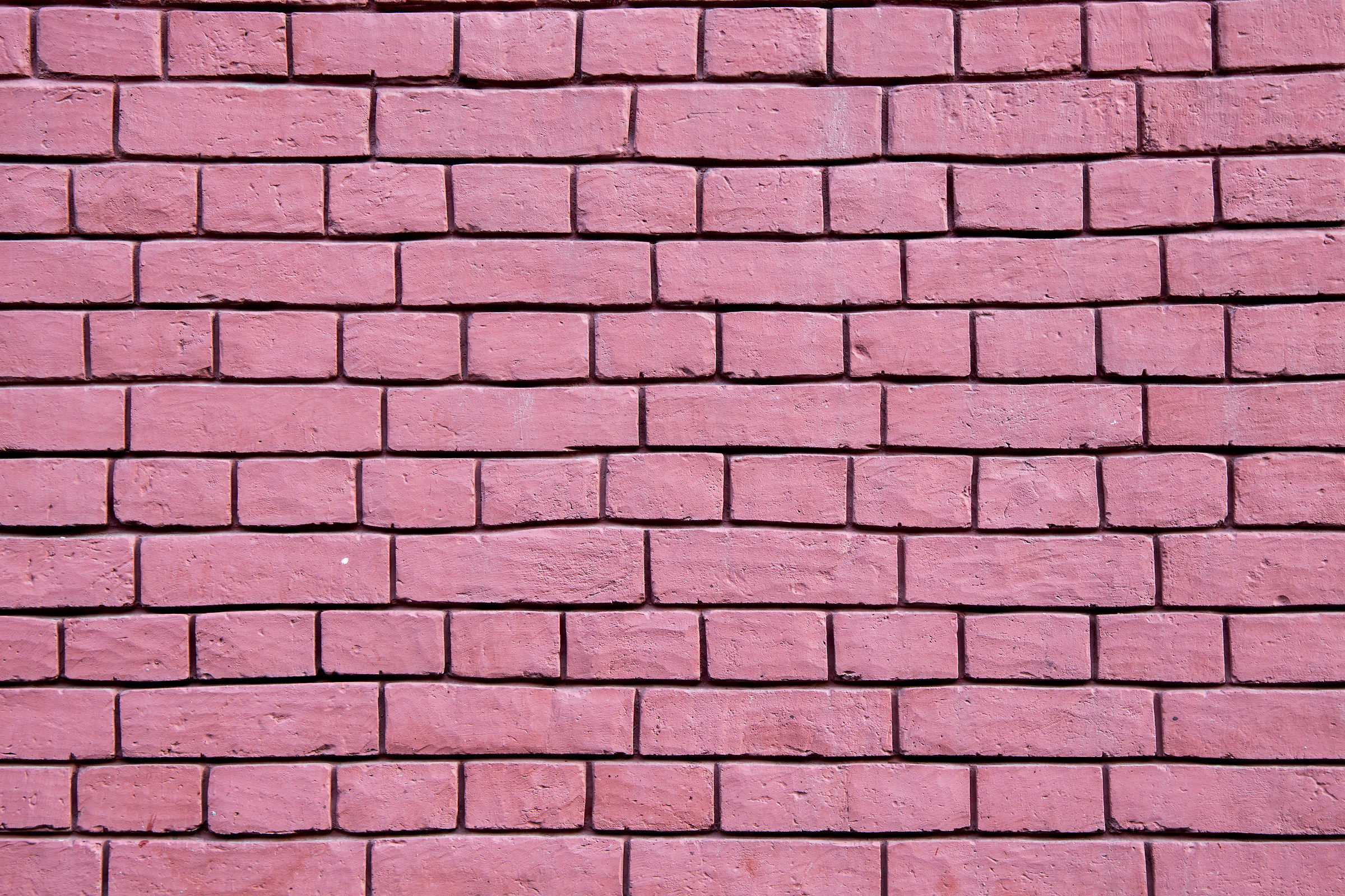 bricks in the wall