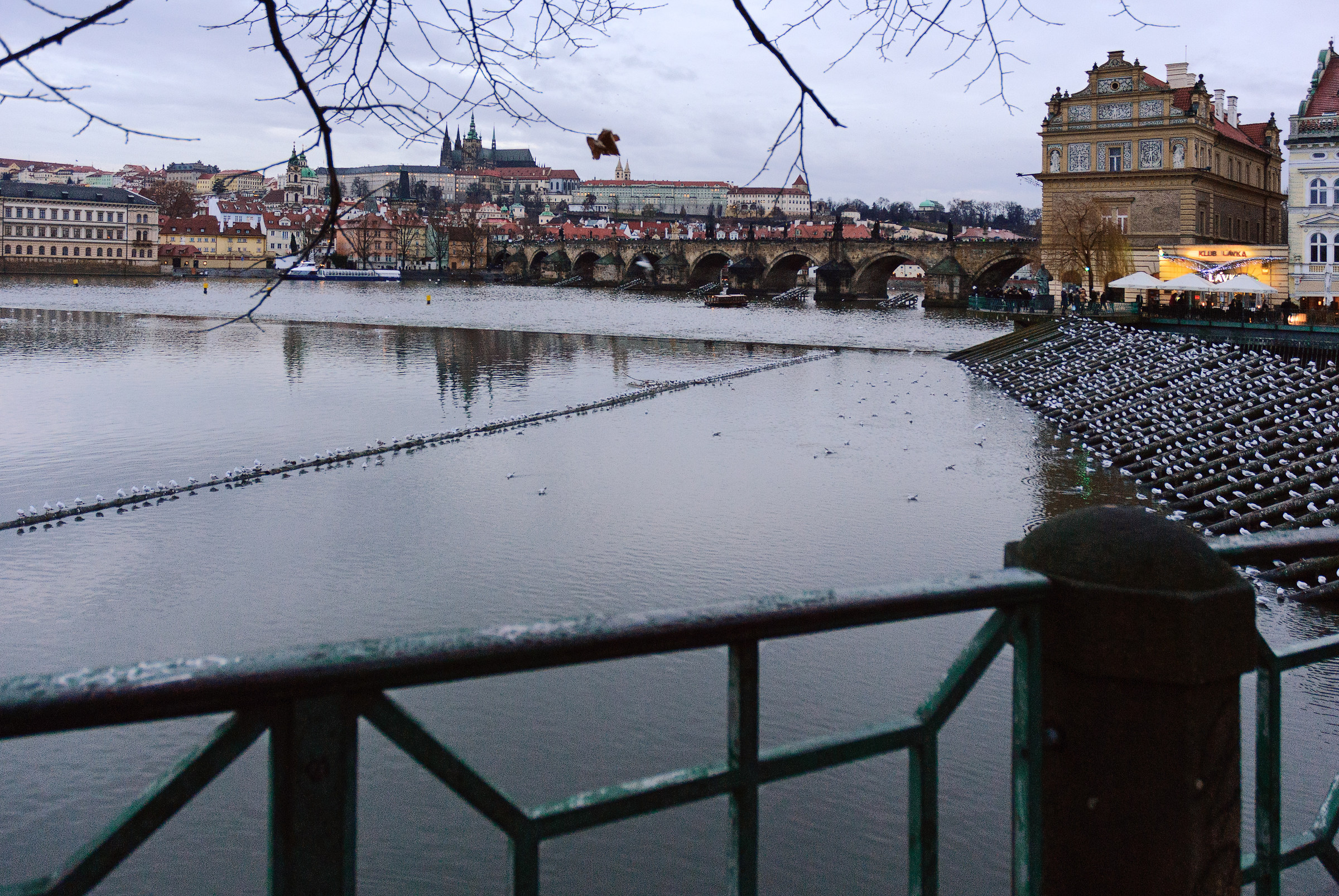 Prague - Charles Bridge