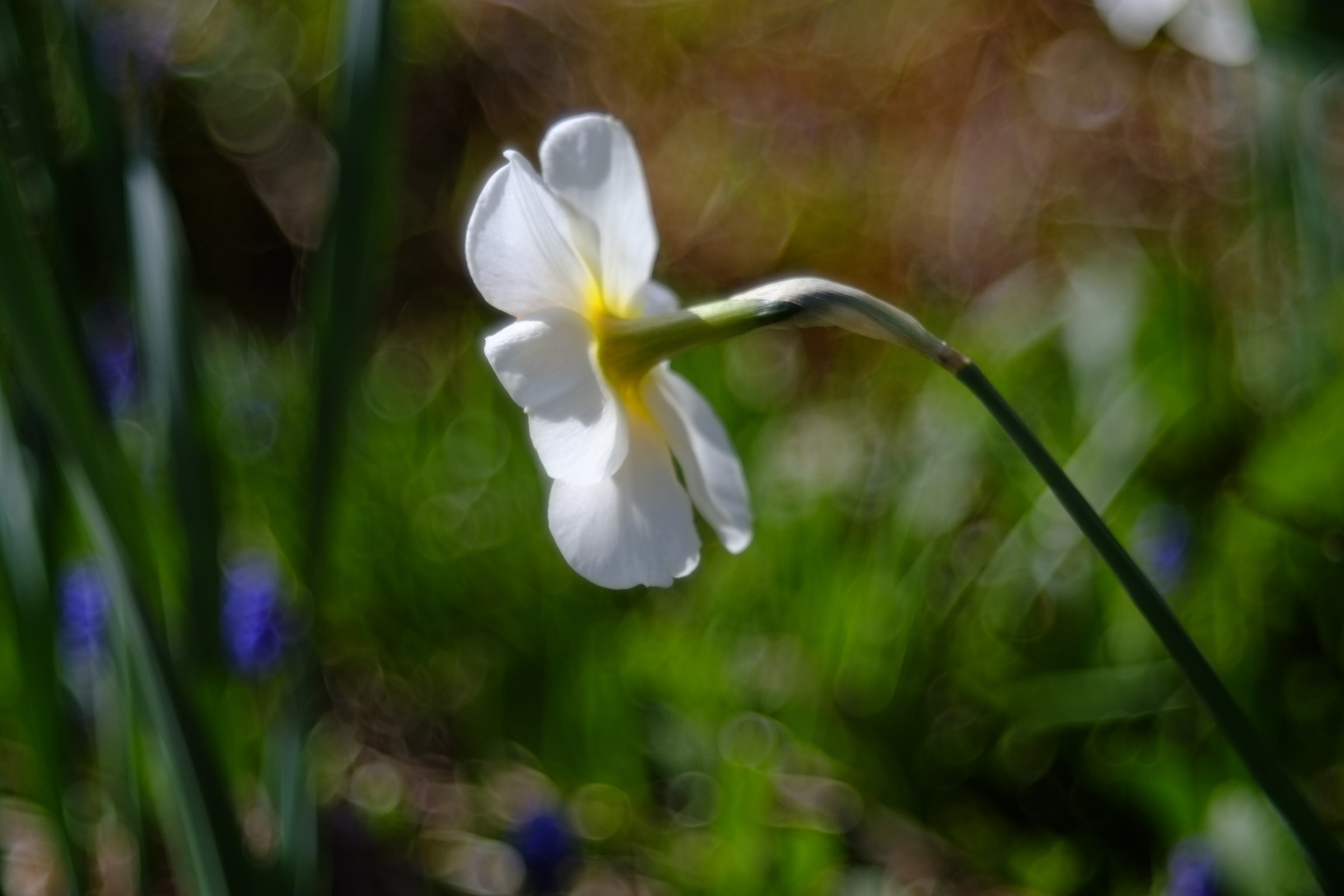 standing out, 70-120 3.5 projection lens