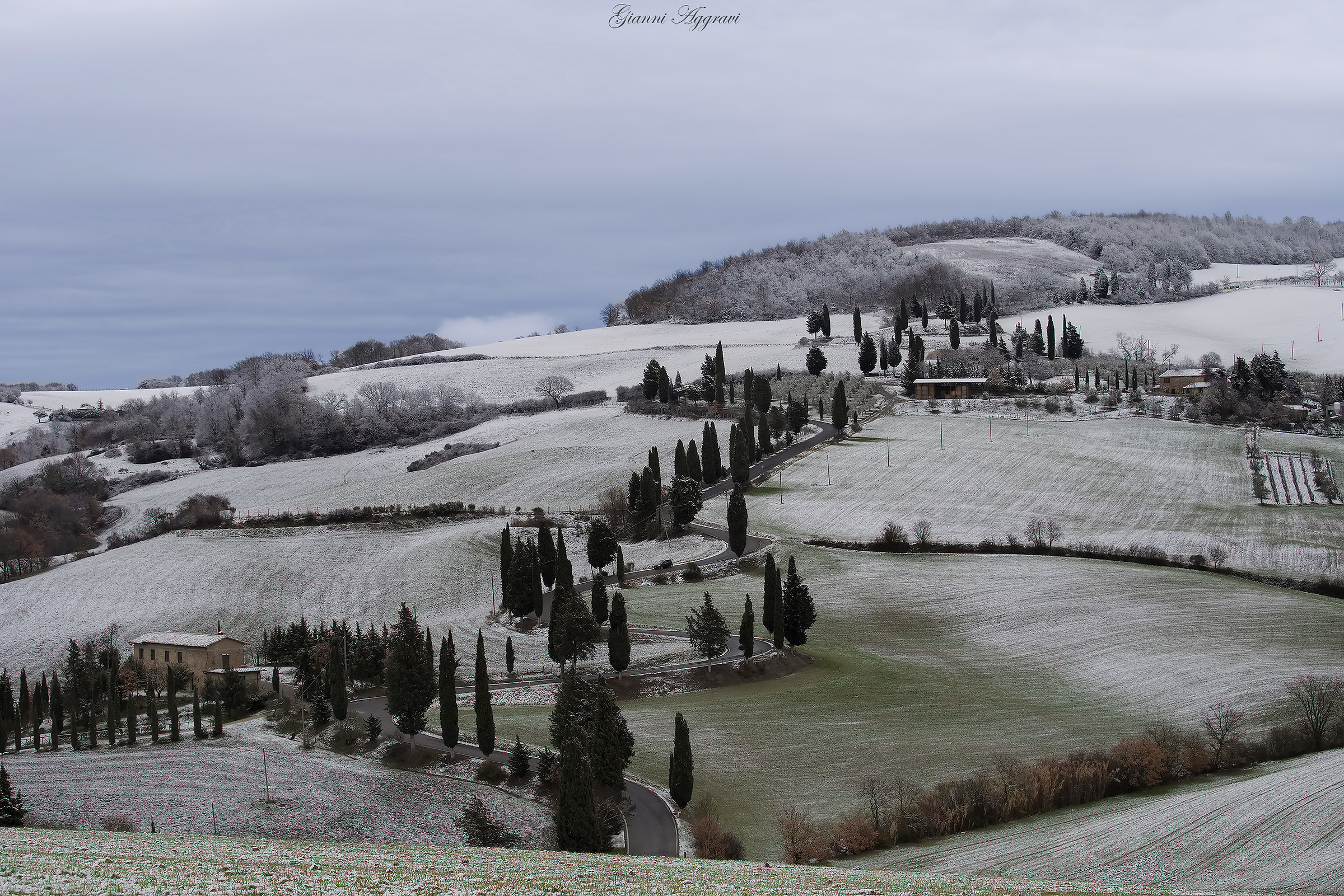 Between curves and Cypresses