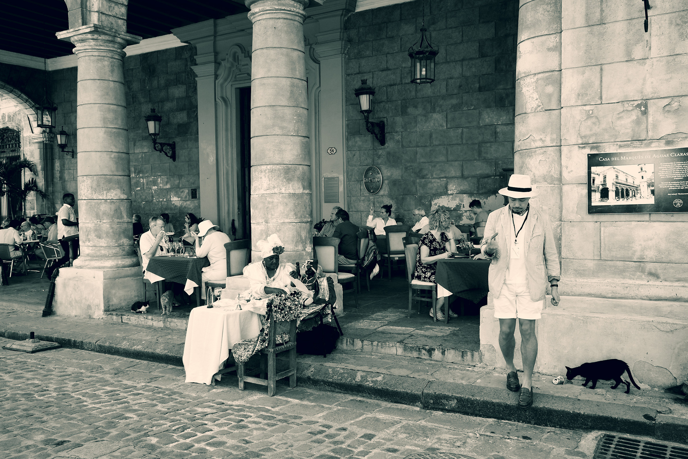 Bistrot con gatto nero