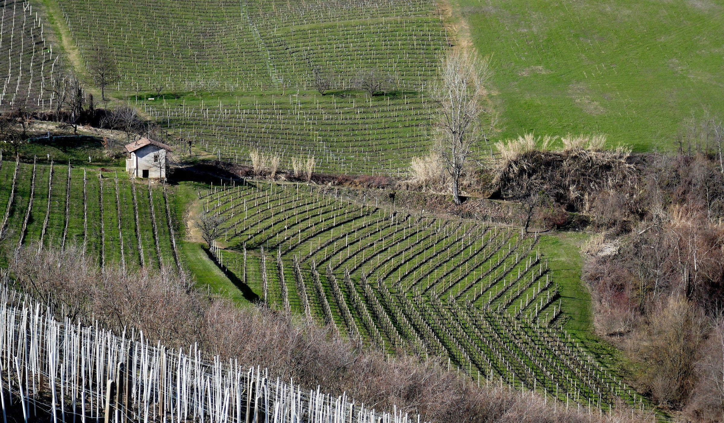 Ciabòt del Parla (Diano d'Alba)