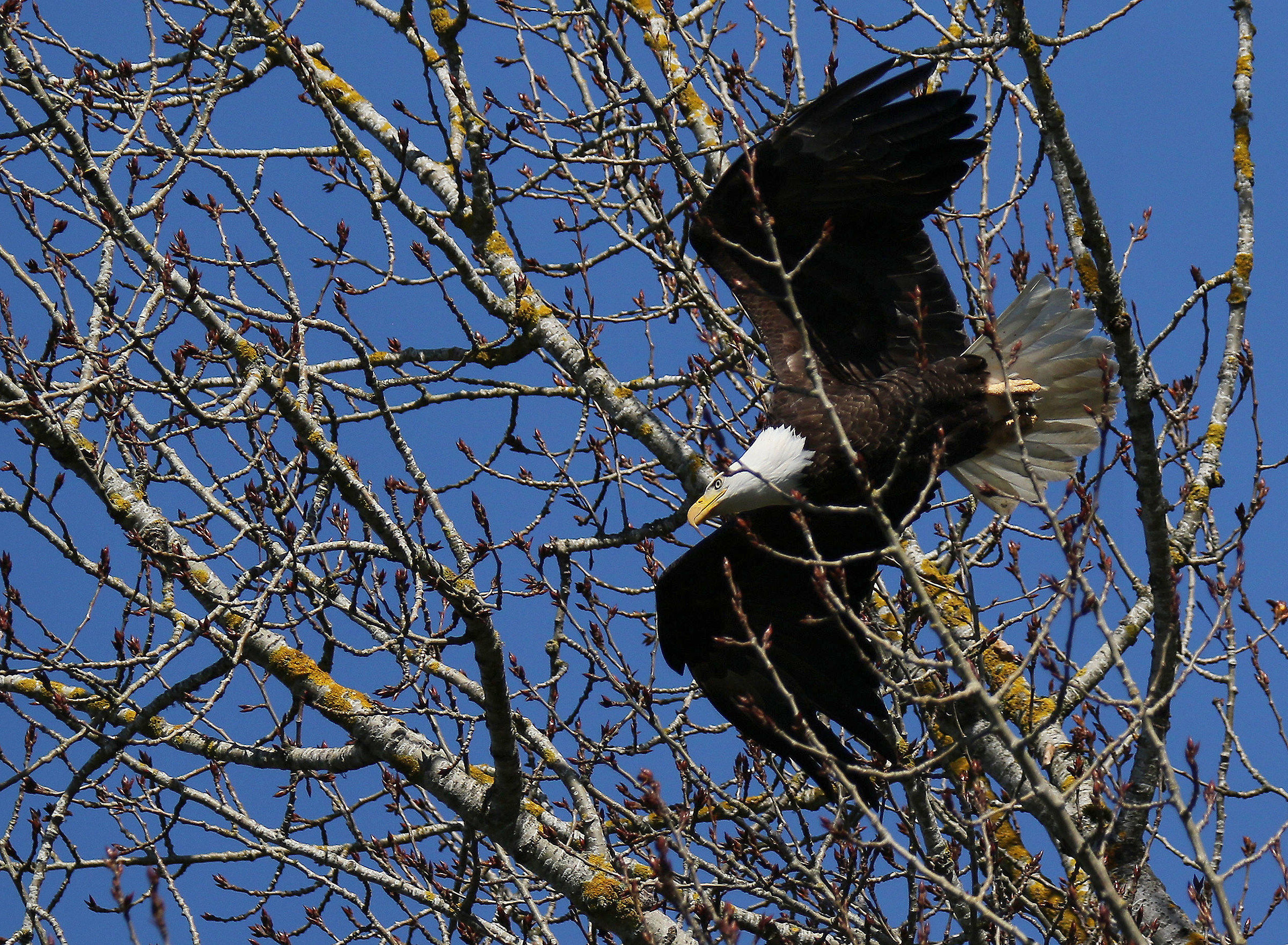 Threading the Needle