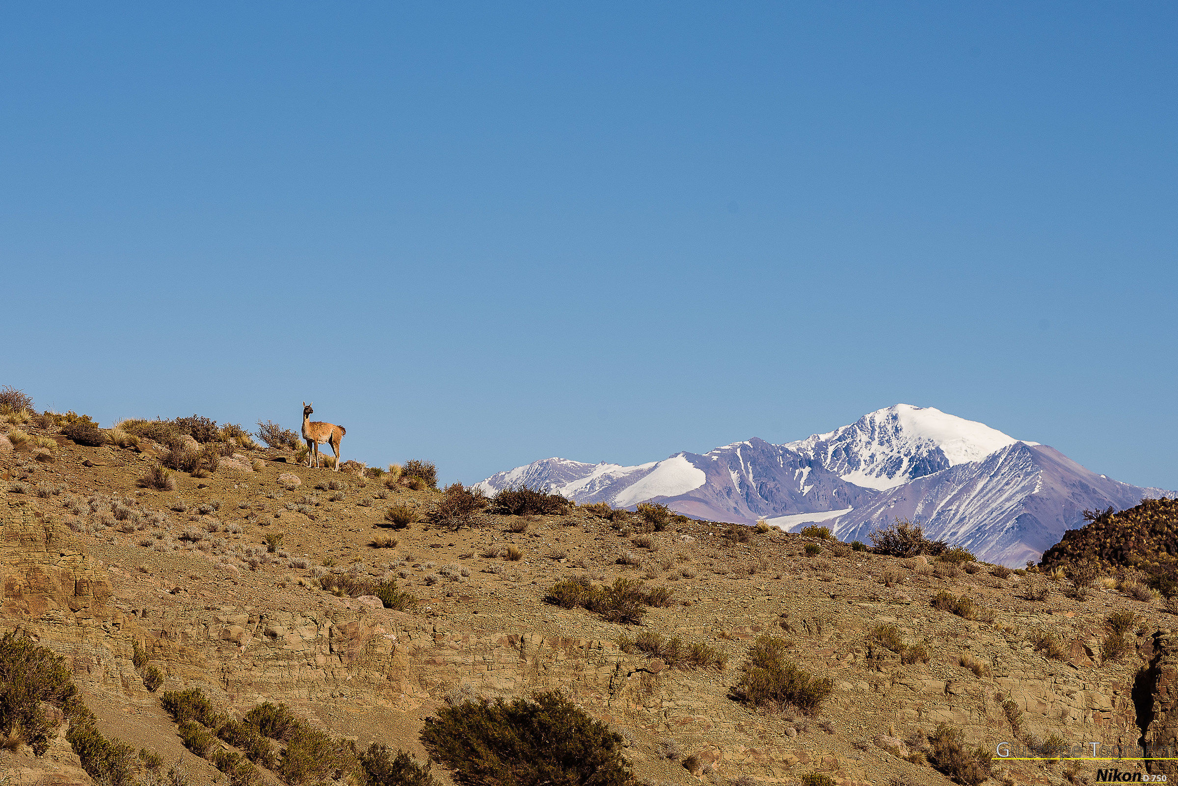 The Aconcagua