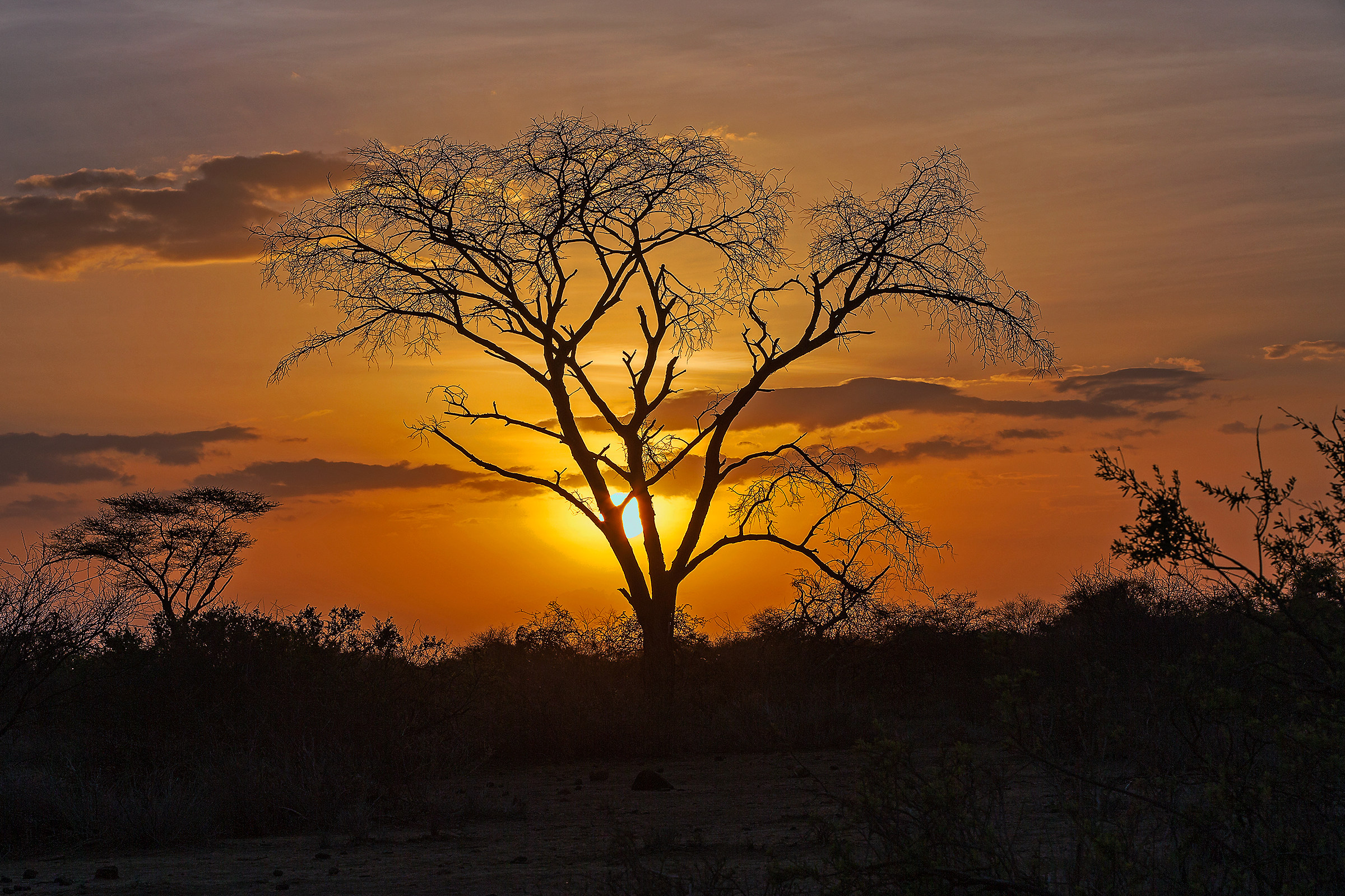 Serengeti sunset