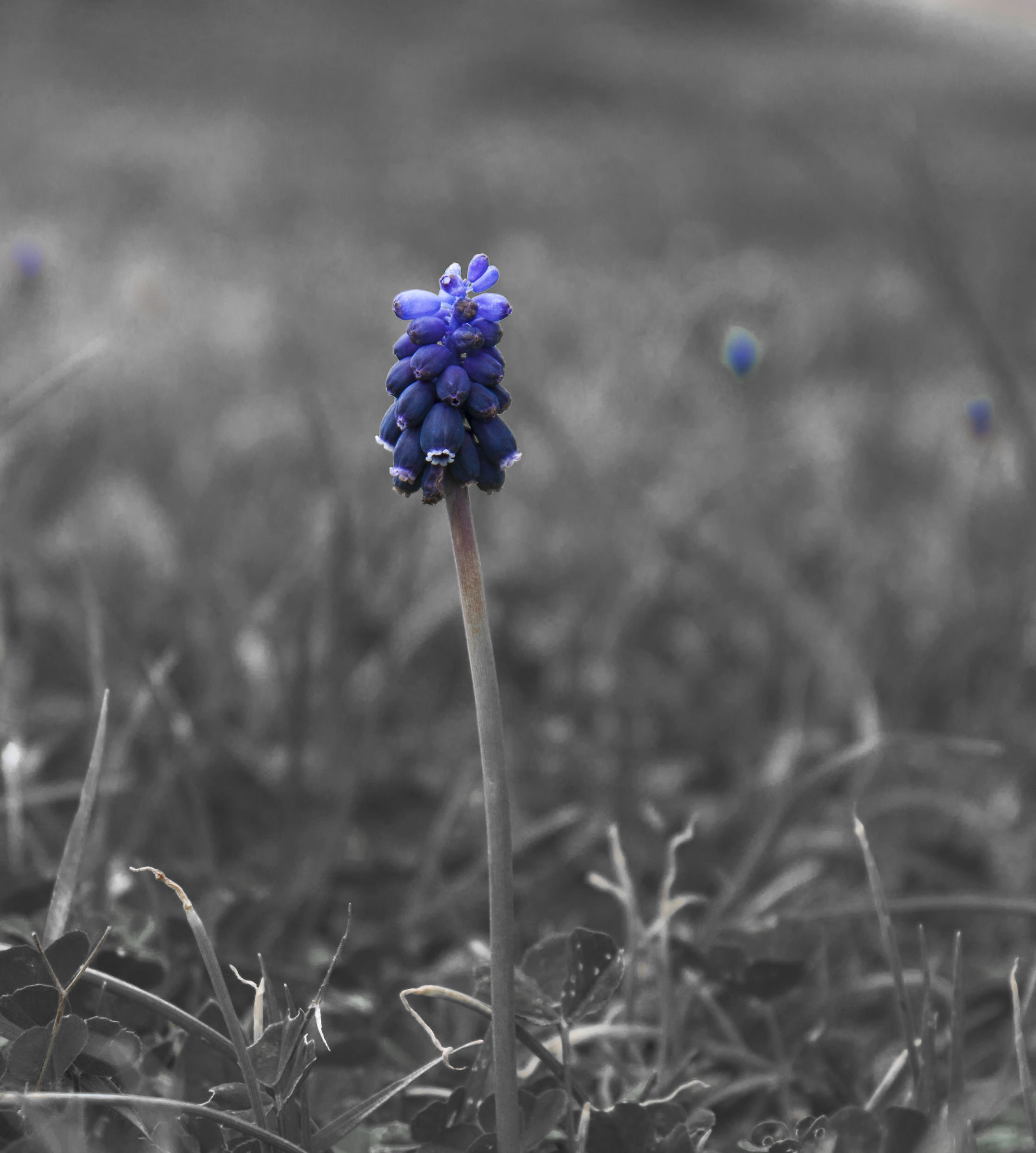 50 shades of ... blue