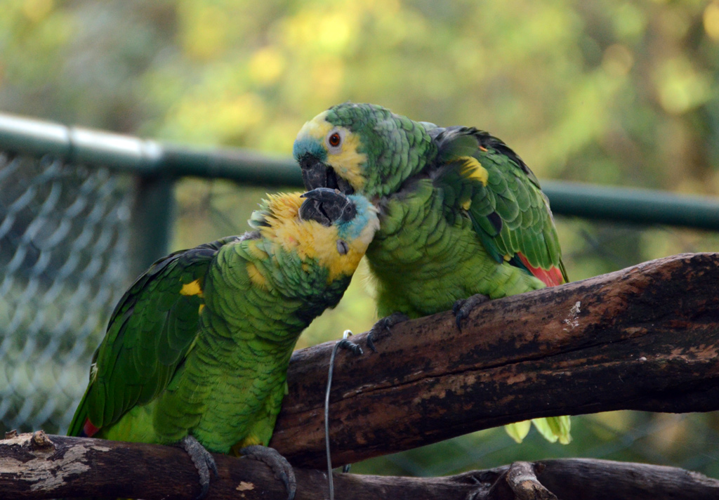 if you do not love what you tell me!