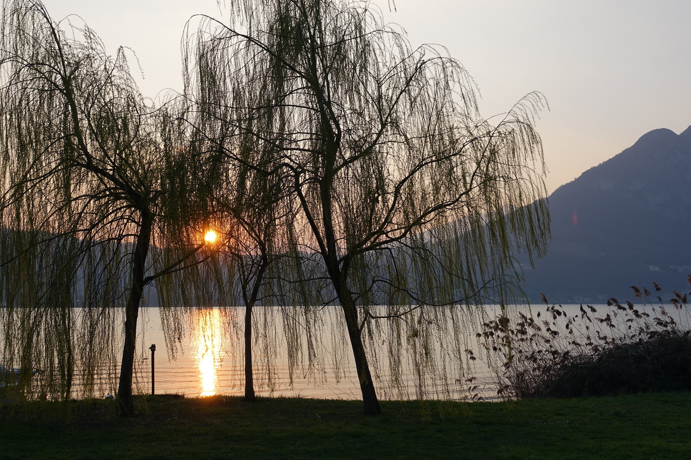 Lake of Garlate, sunset