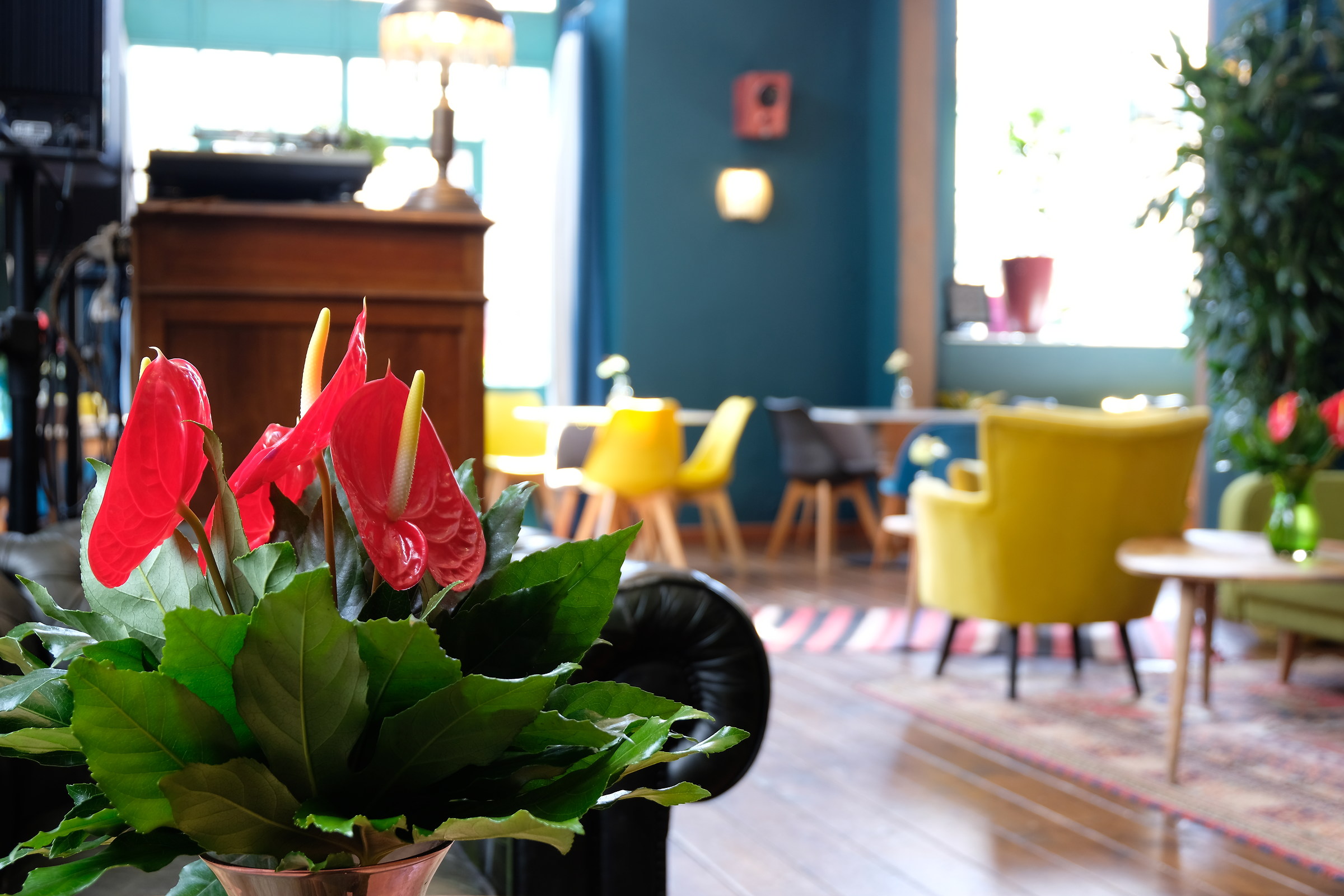 Les Marionnettes - Rome