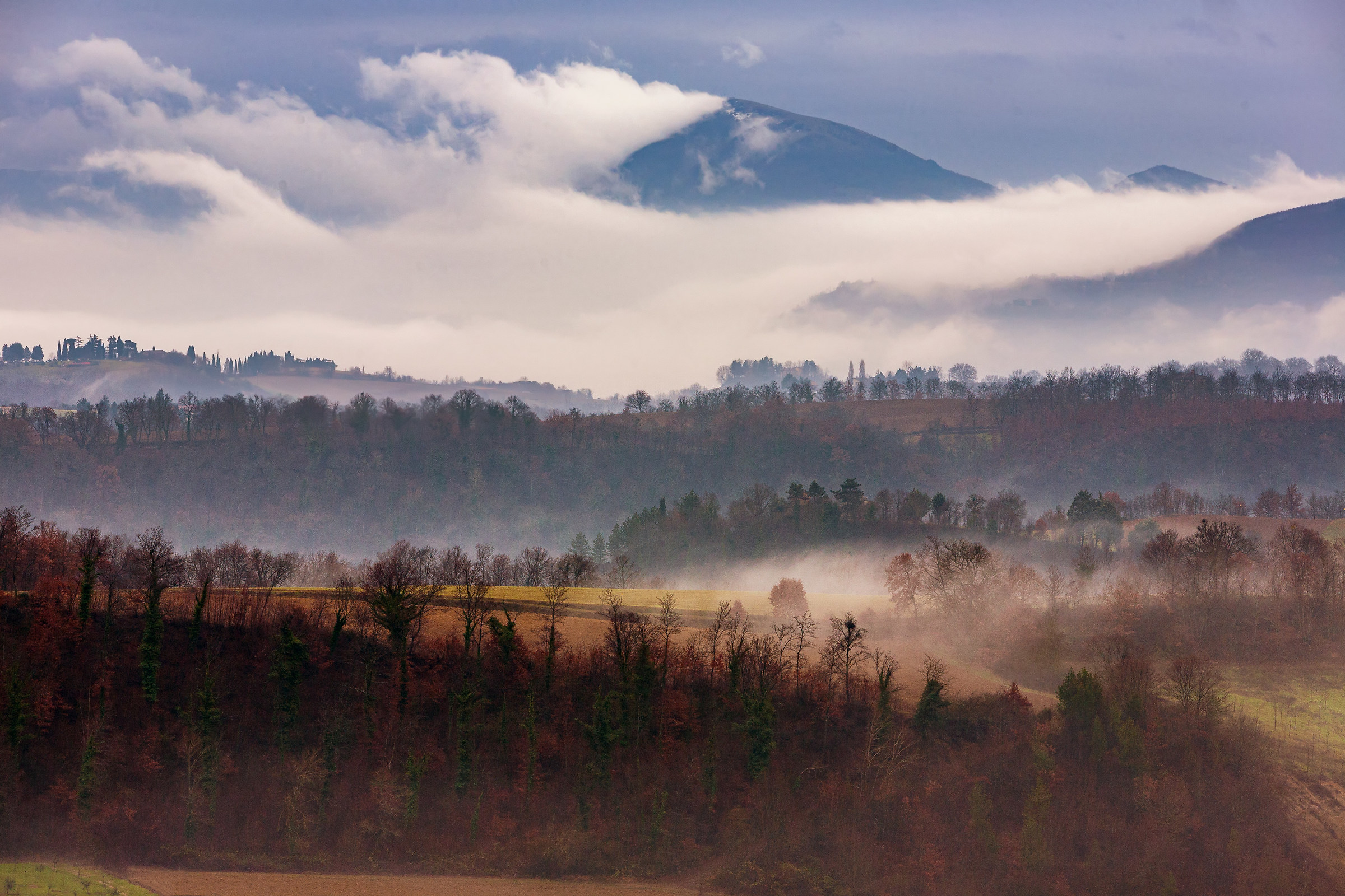 La nebbia agli irti colli Piovigginando sale