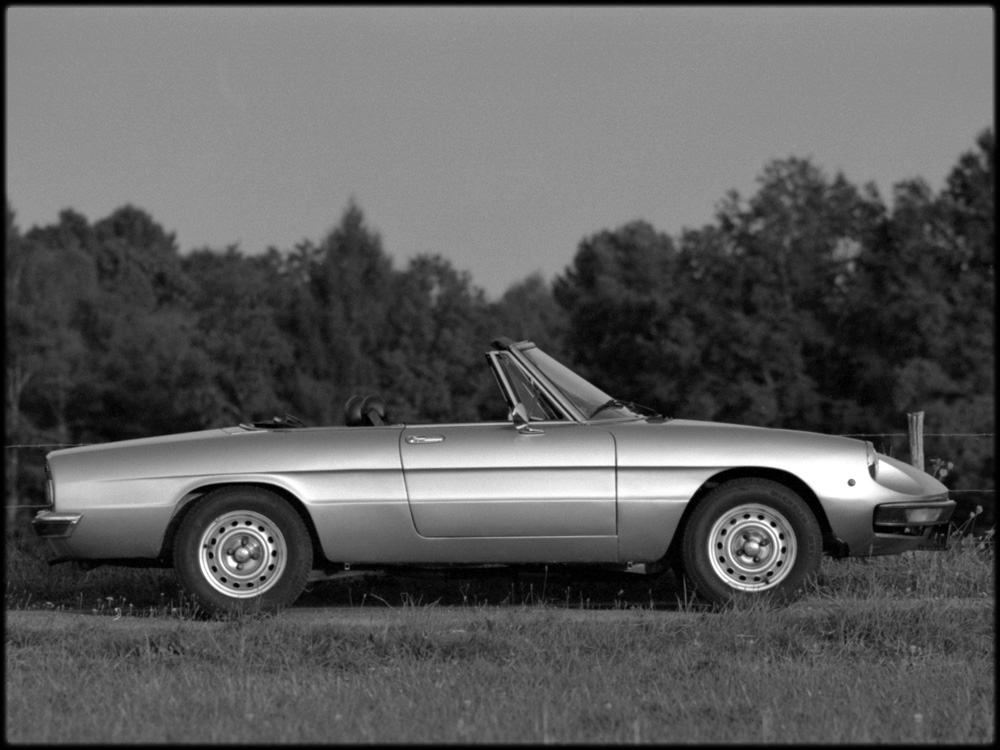 Alfa-Romeo-spider