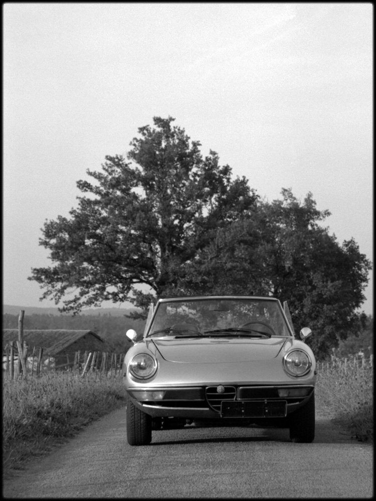 Alfa-Romeo-spider