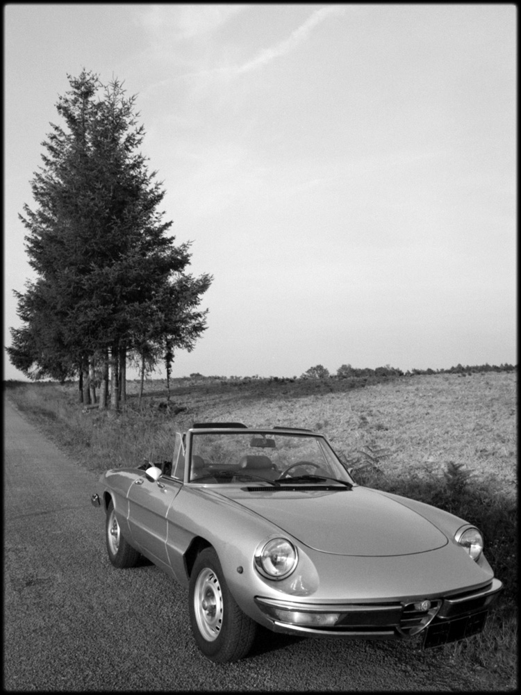 Alfa-Romeo-spider
