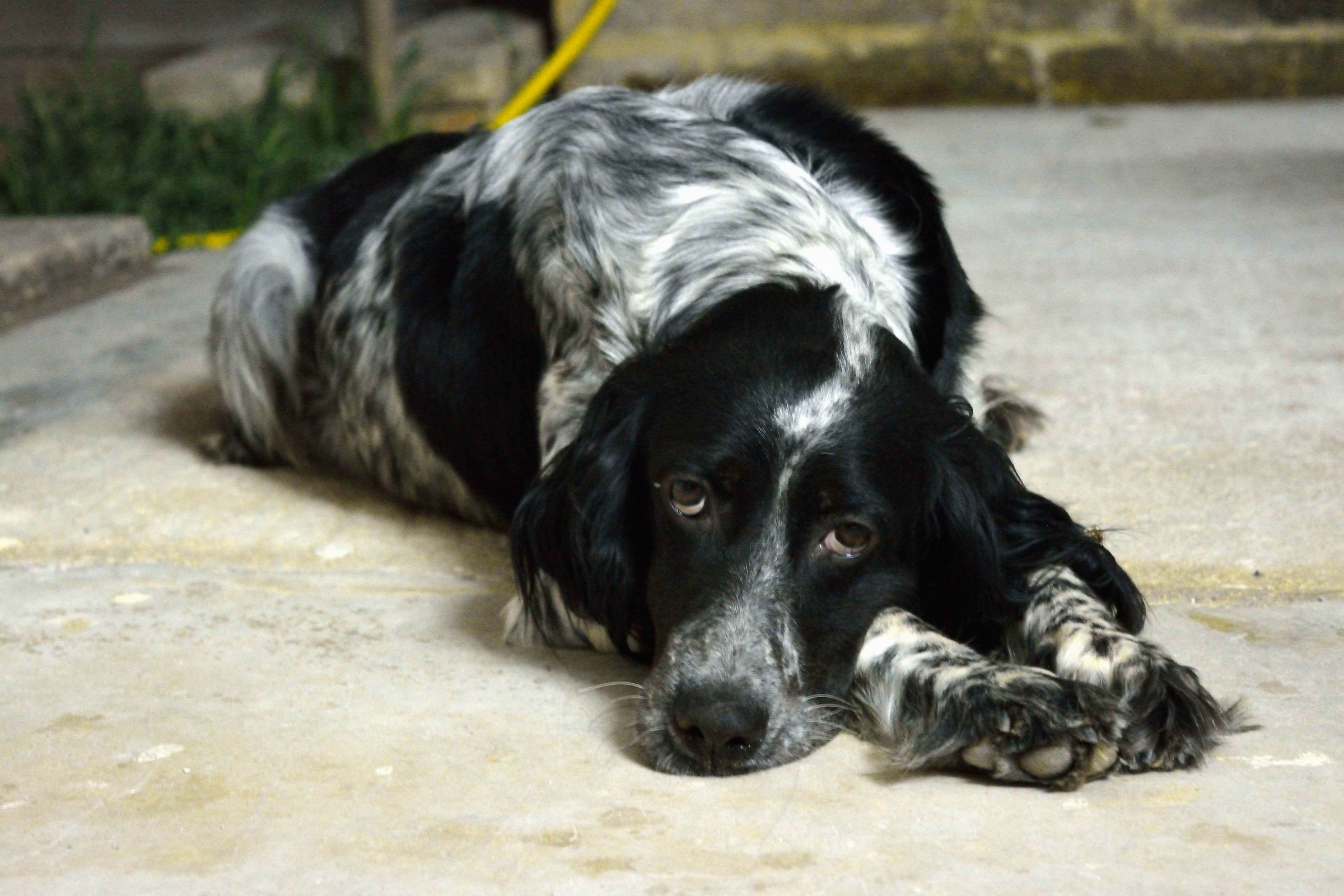 waiting for the master