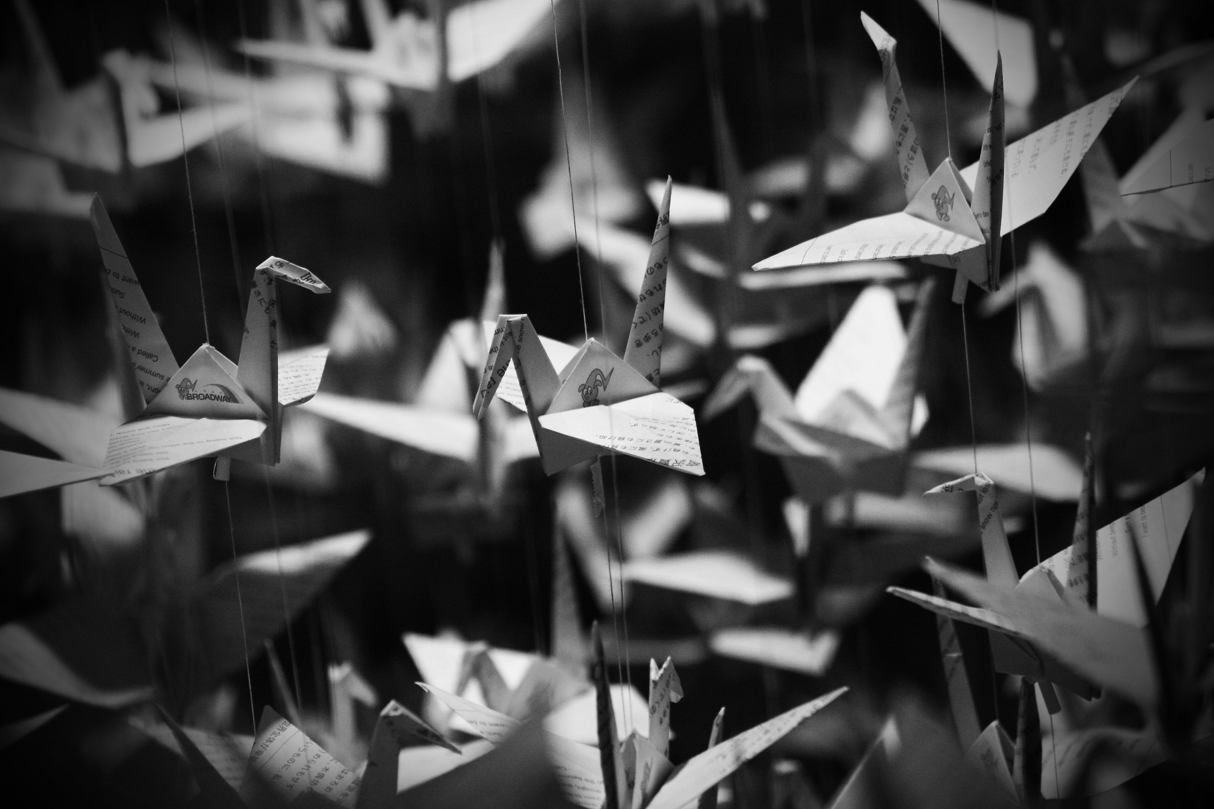 Origami's migration
