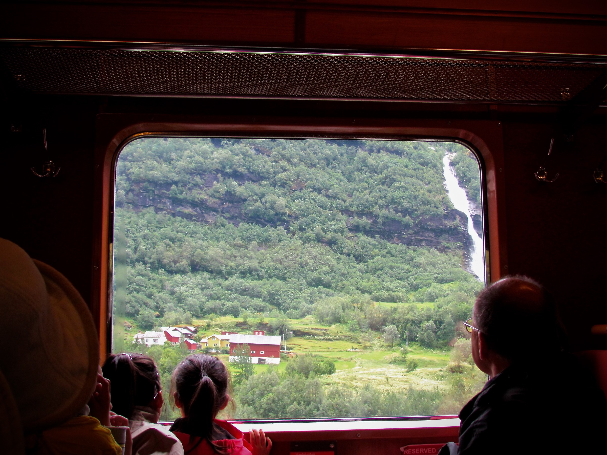 That train for Flåm