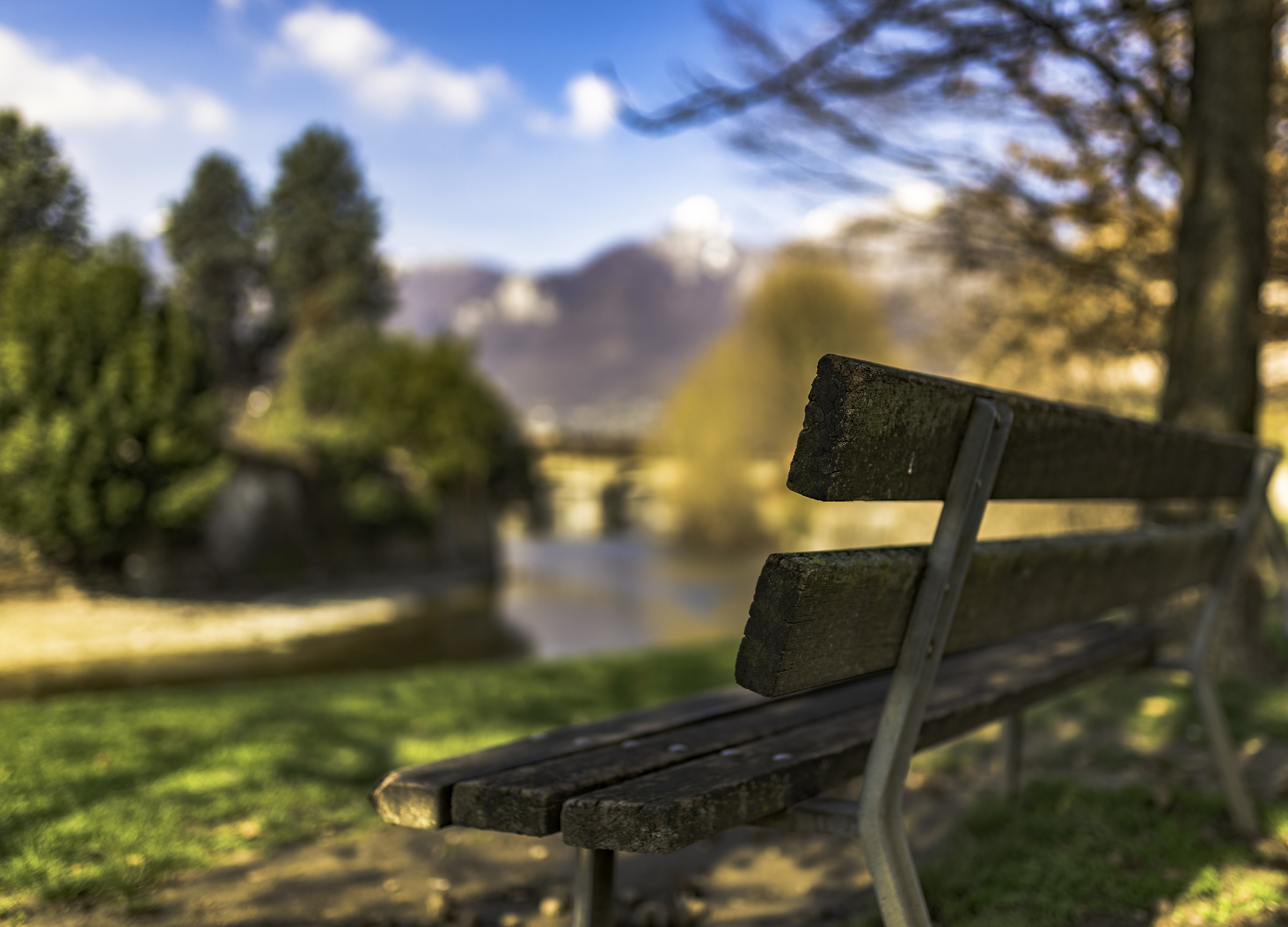 In allegra solitudine