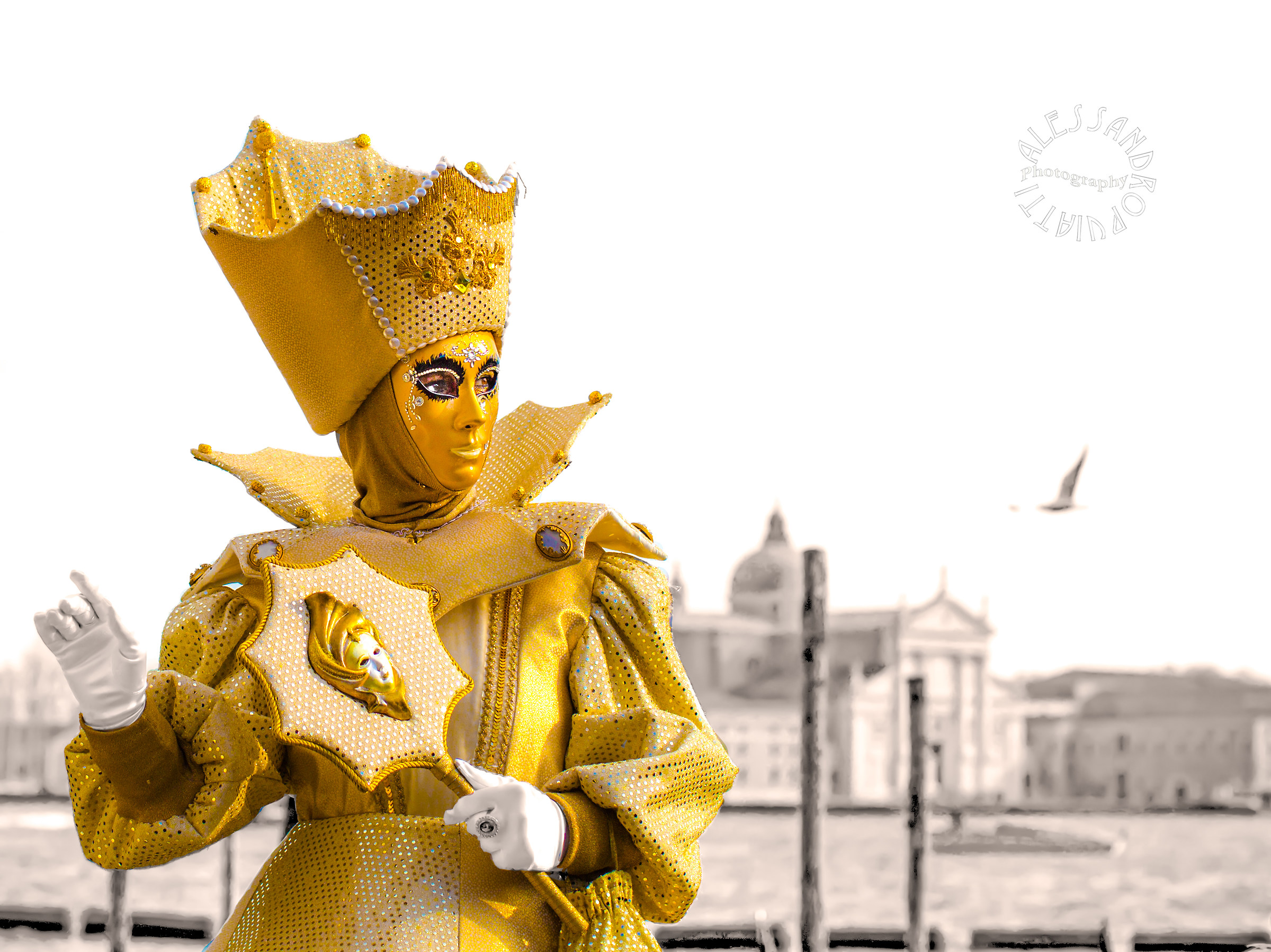 She's lost carnival II