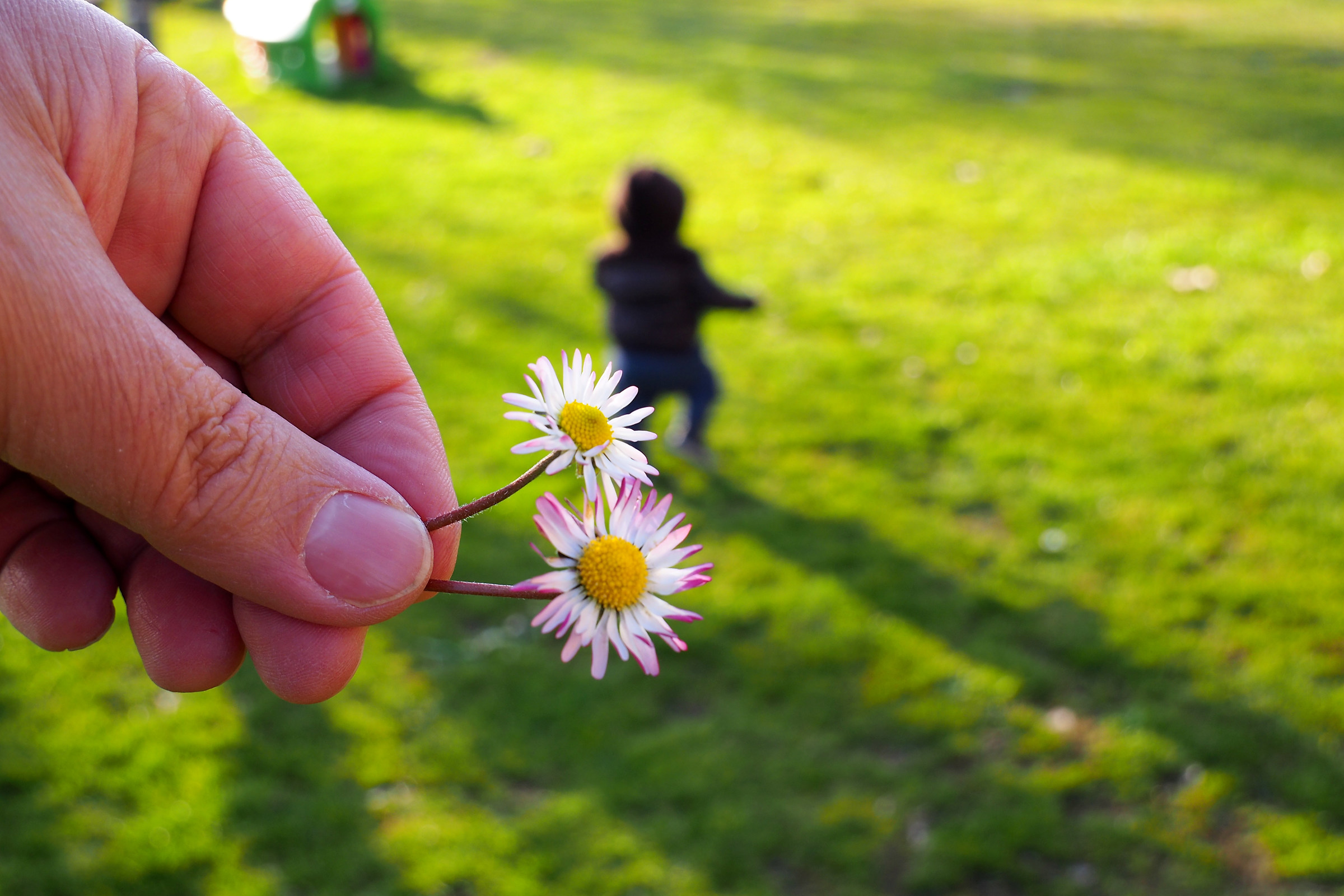 tra breve arriva Primavera
