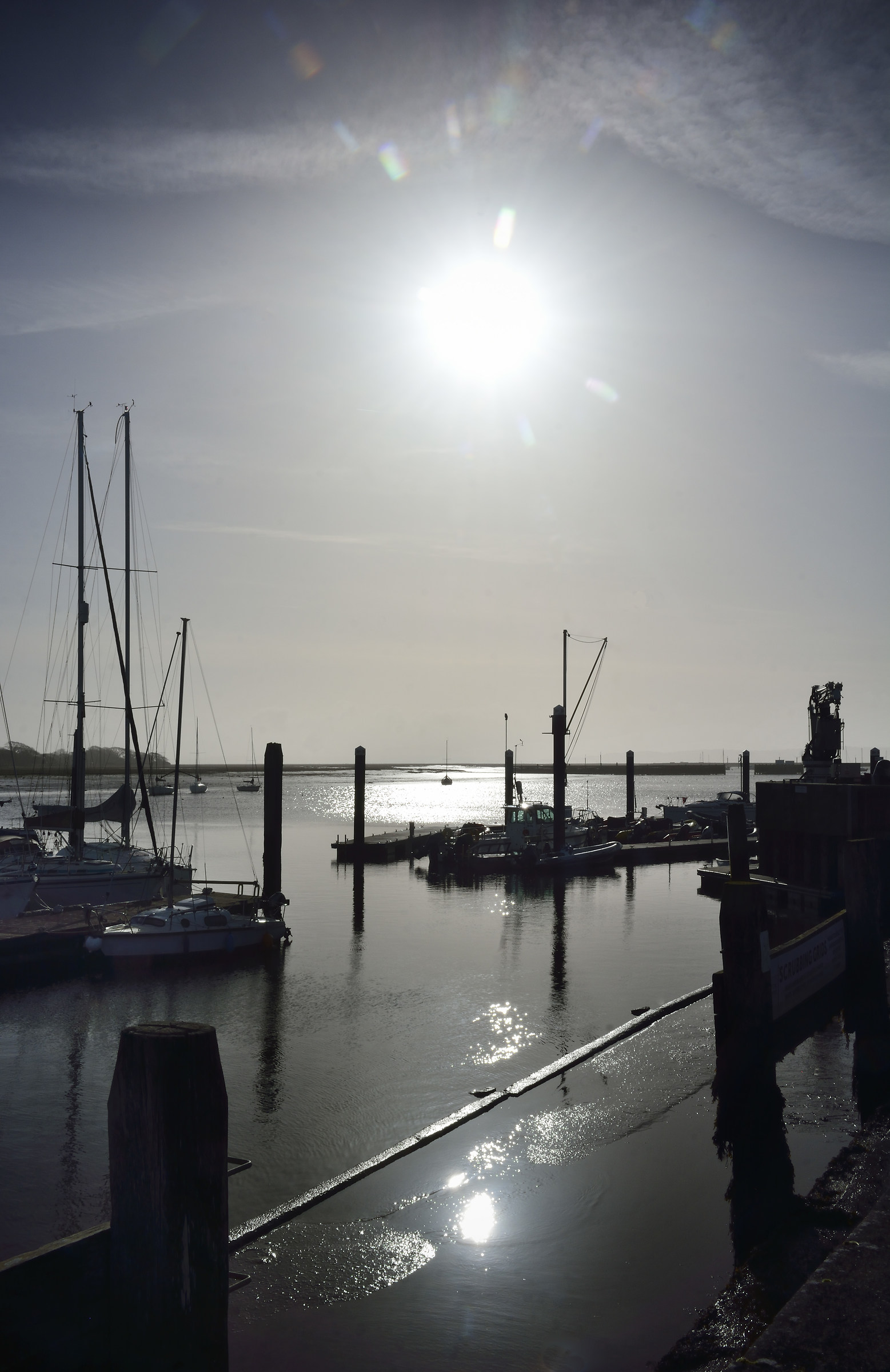 The Bright Light of a Mid March Morning