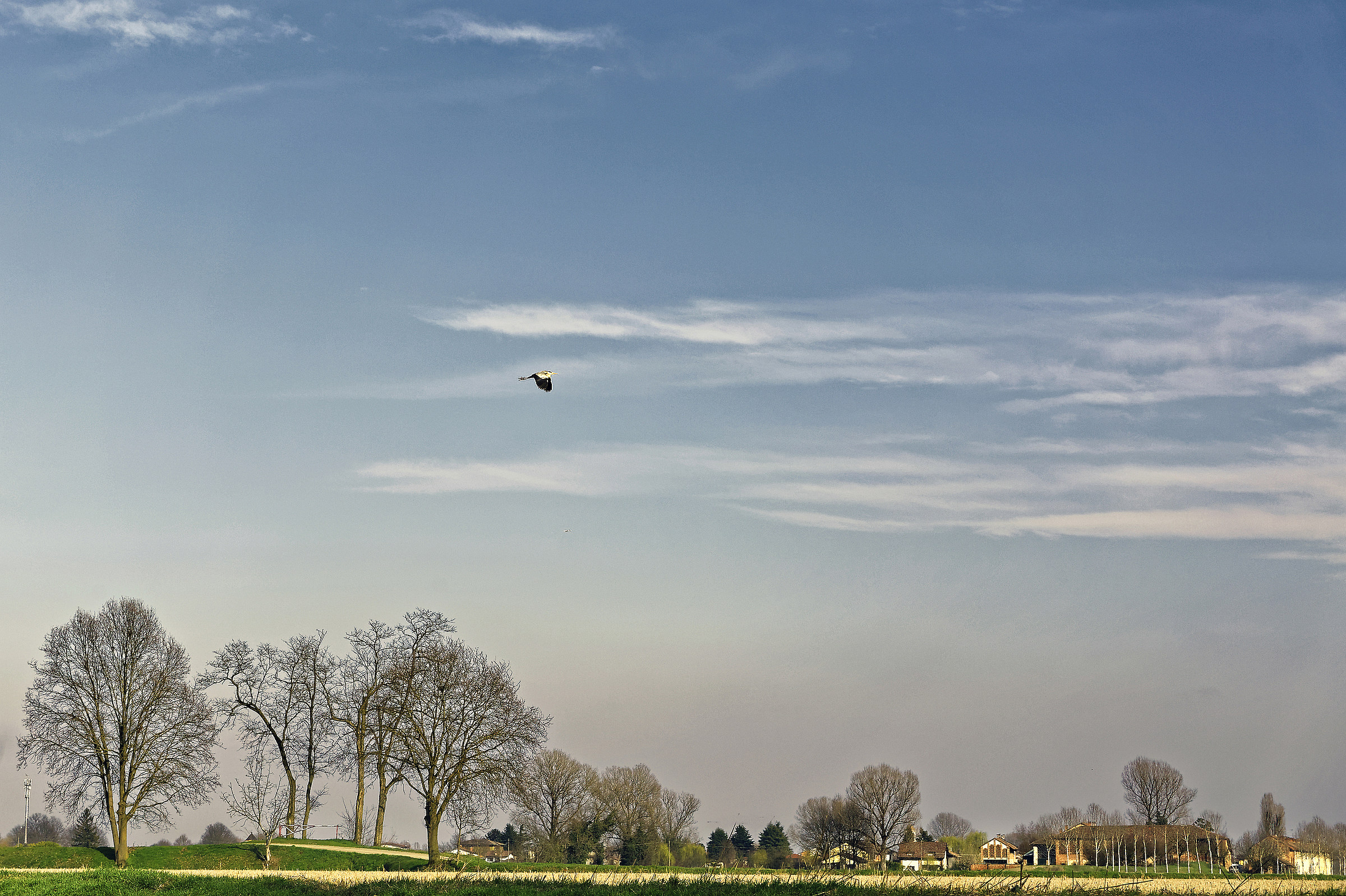 Aspettando la primavera