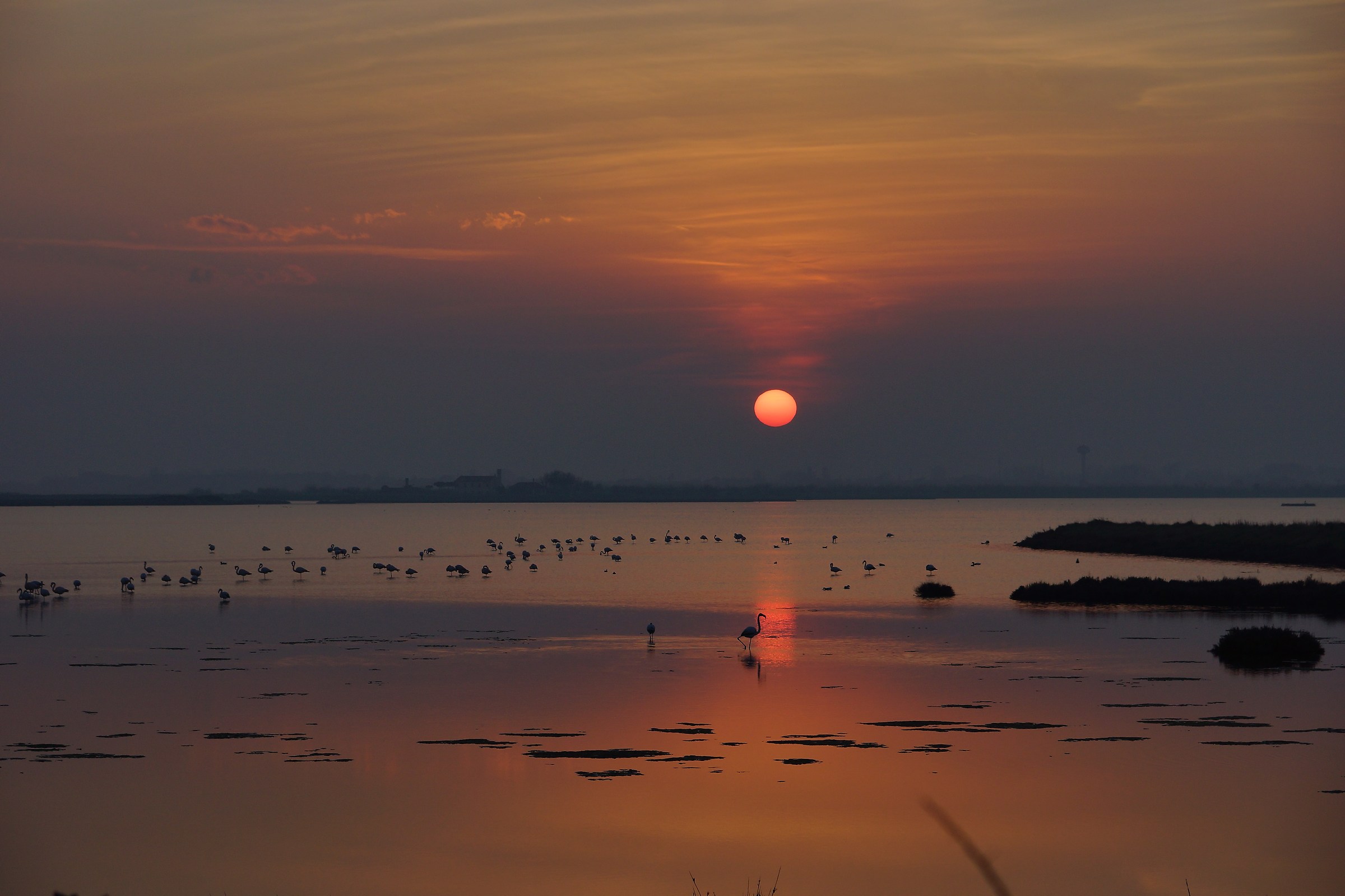 sunset on the delta of the po