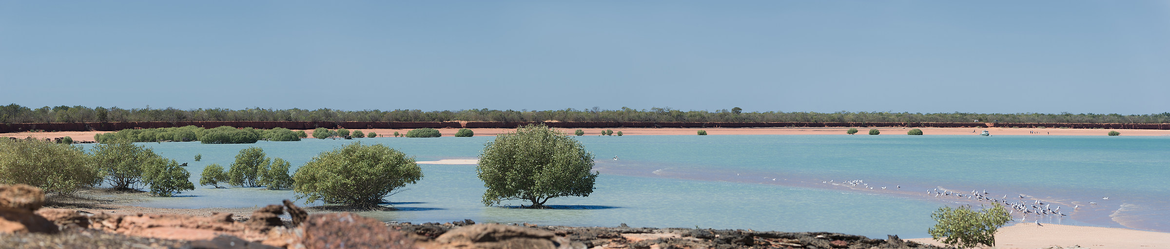Broome Bird Observatory