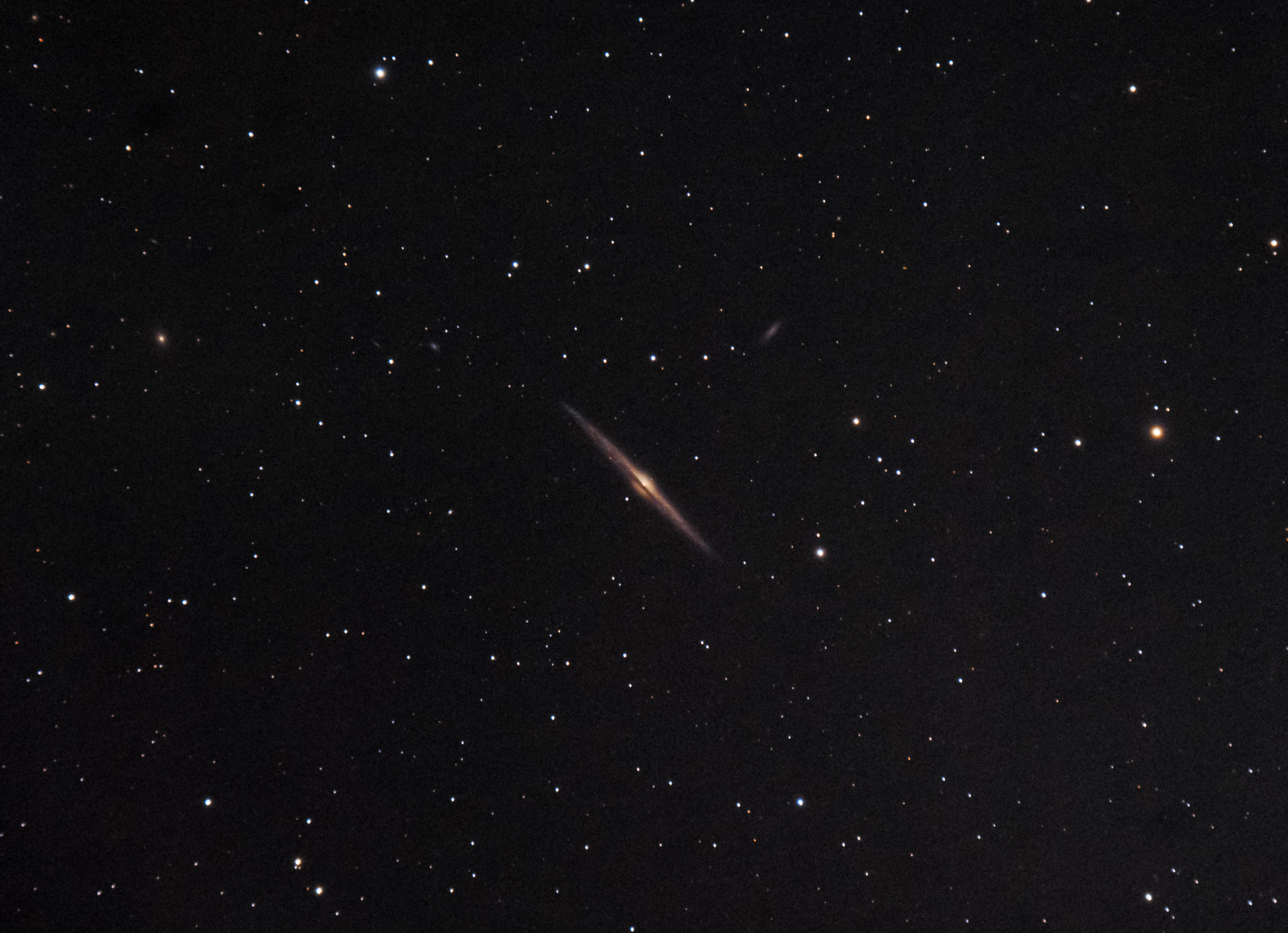 NGC4565