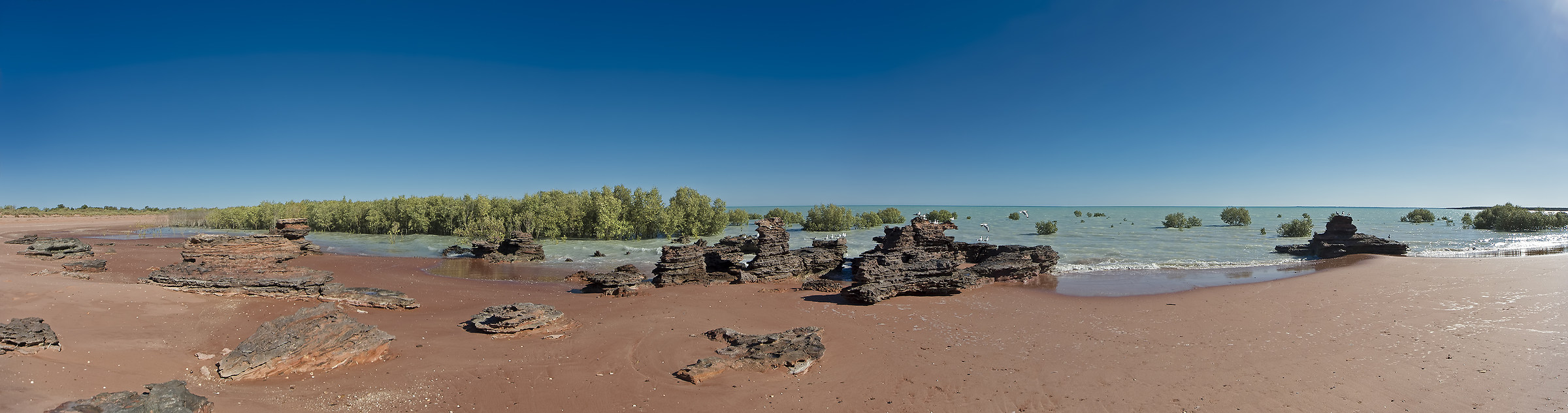 Broome Bird Observatory