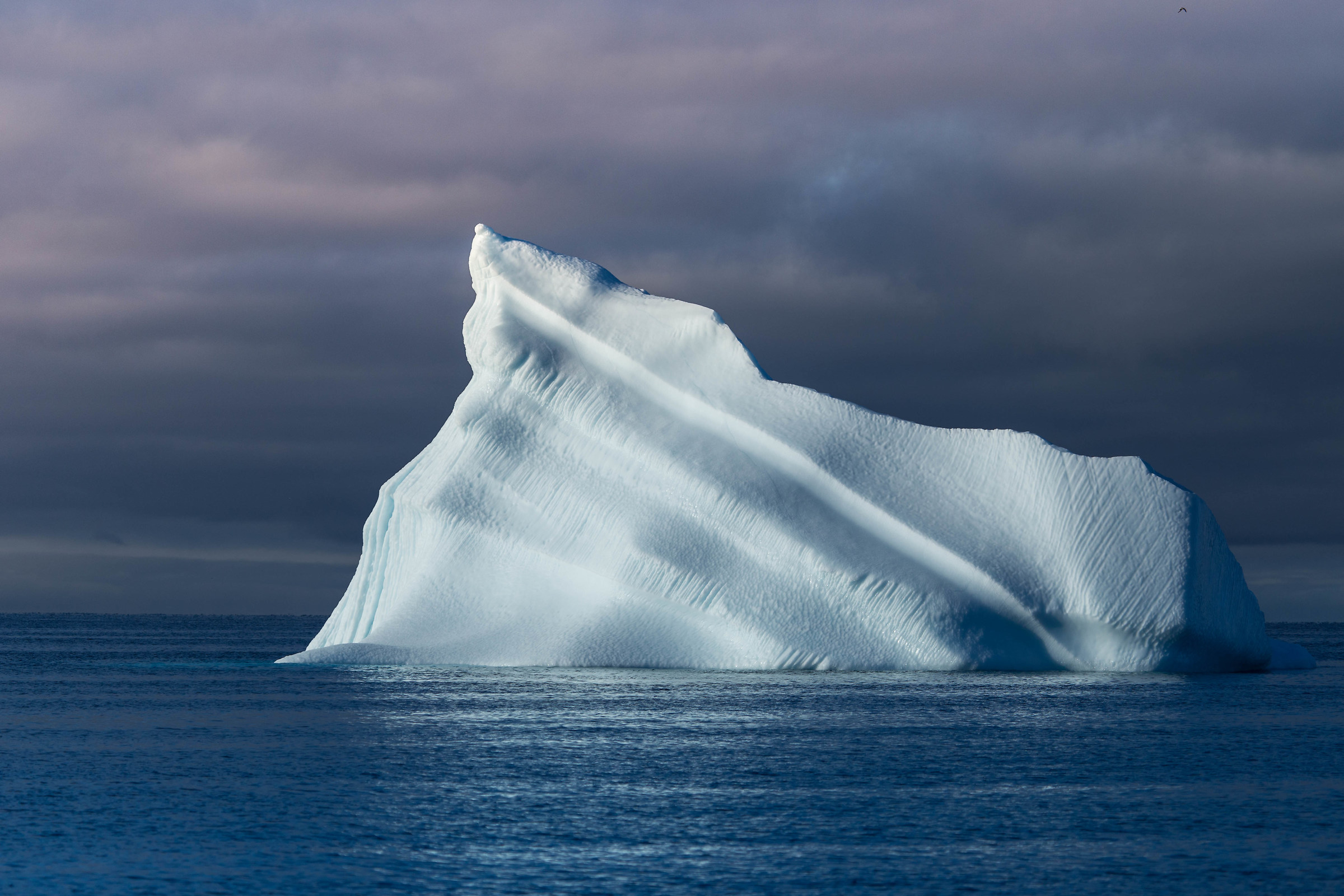 Iceberg