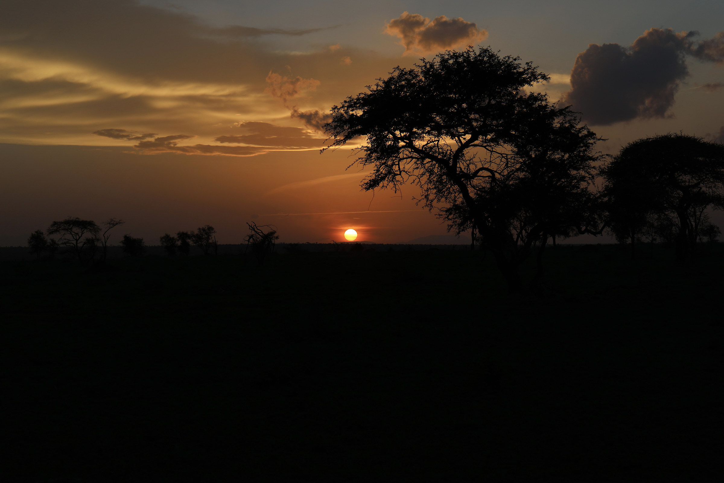 sunset at the lualenyi camp ...