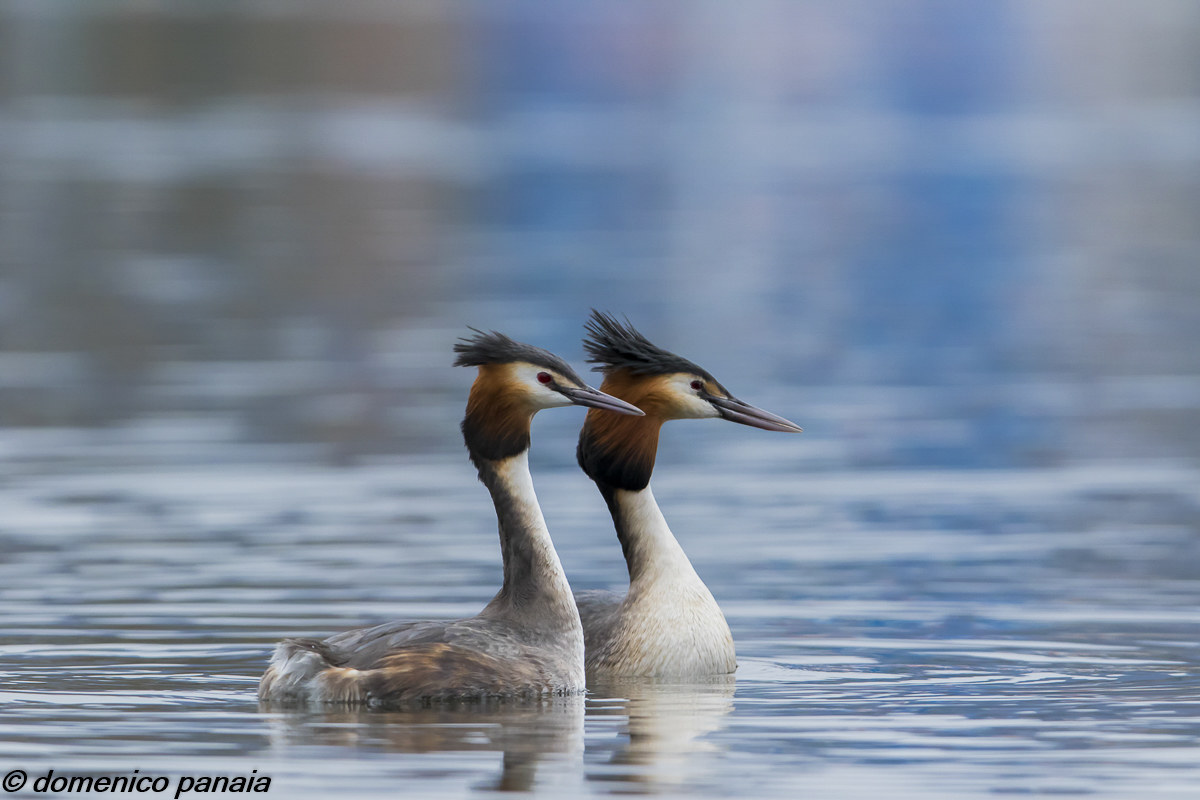 un amore appena nato